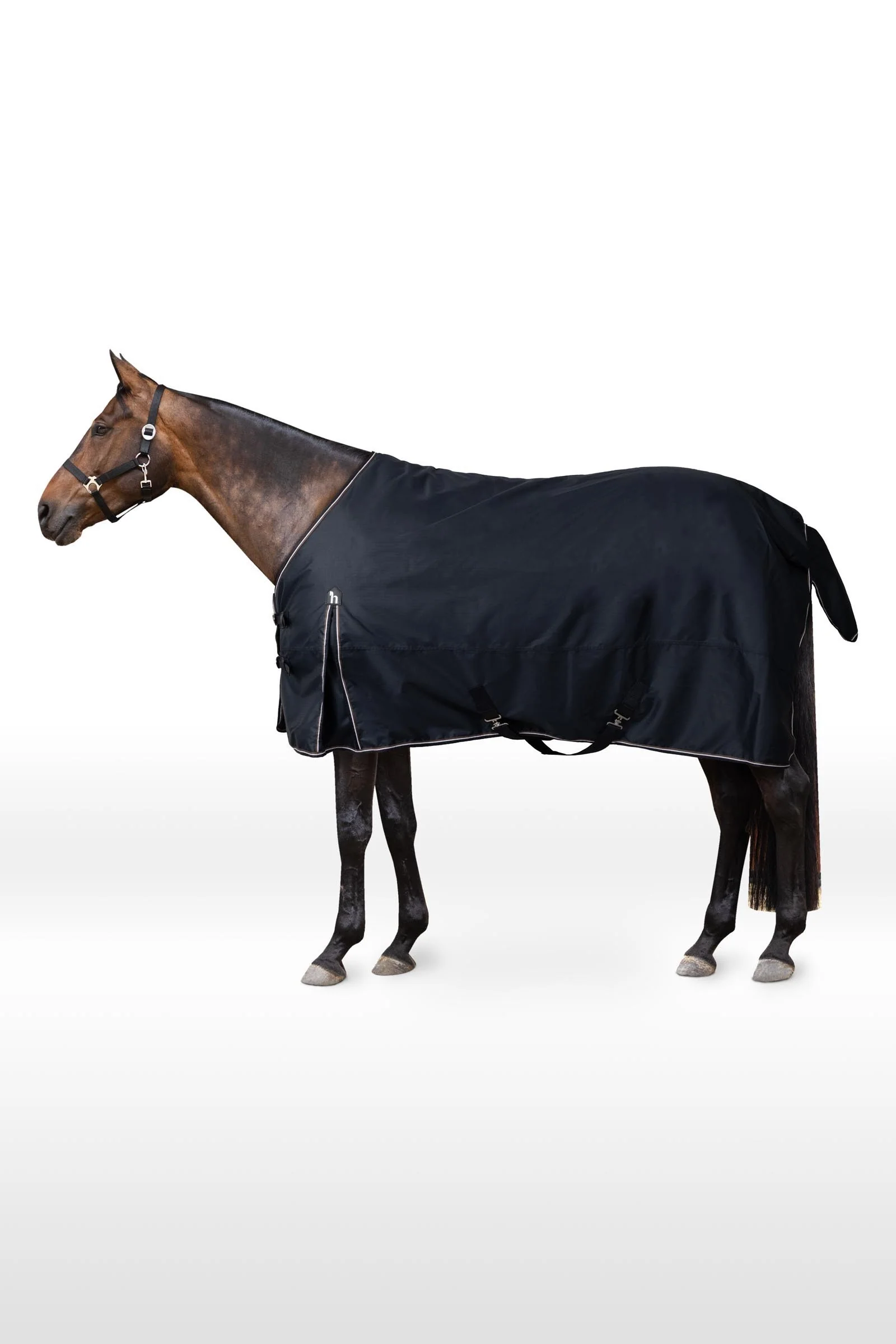 Glasgow Turnout Rug, 100g Blueberry 155