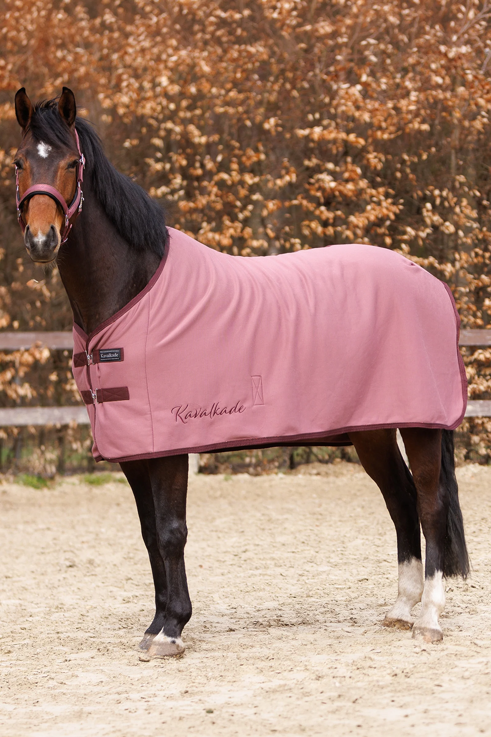 Graceful Jersey Rug Mauve/Bordeaux 145