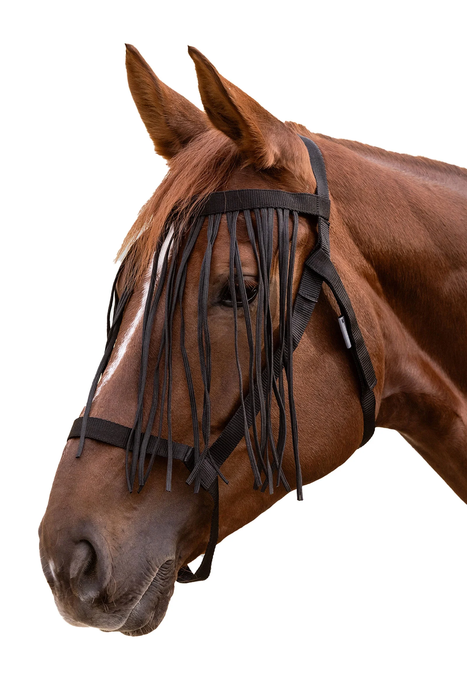 Grazing Halter With Fly Fringe Black C