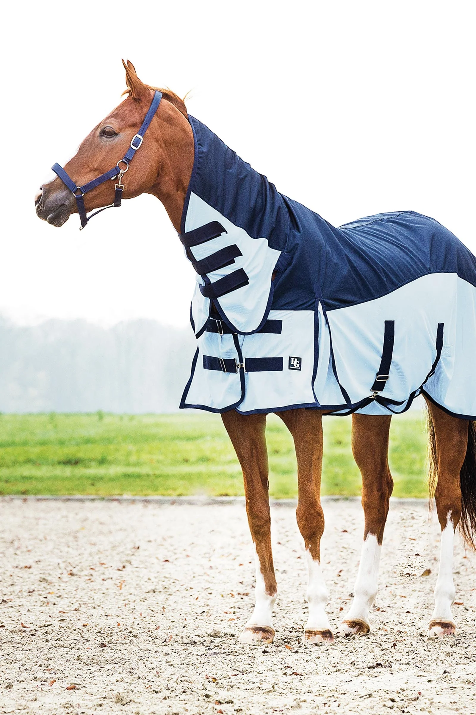 HorseGuard Aiman Rain & Insect Rug Placid Blue 145