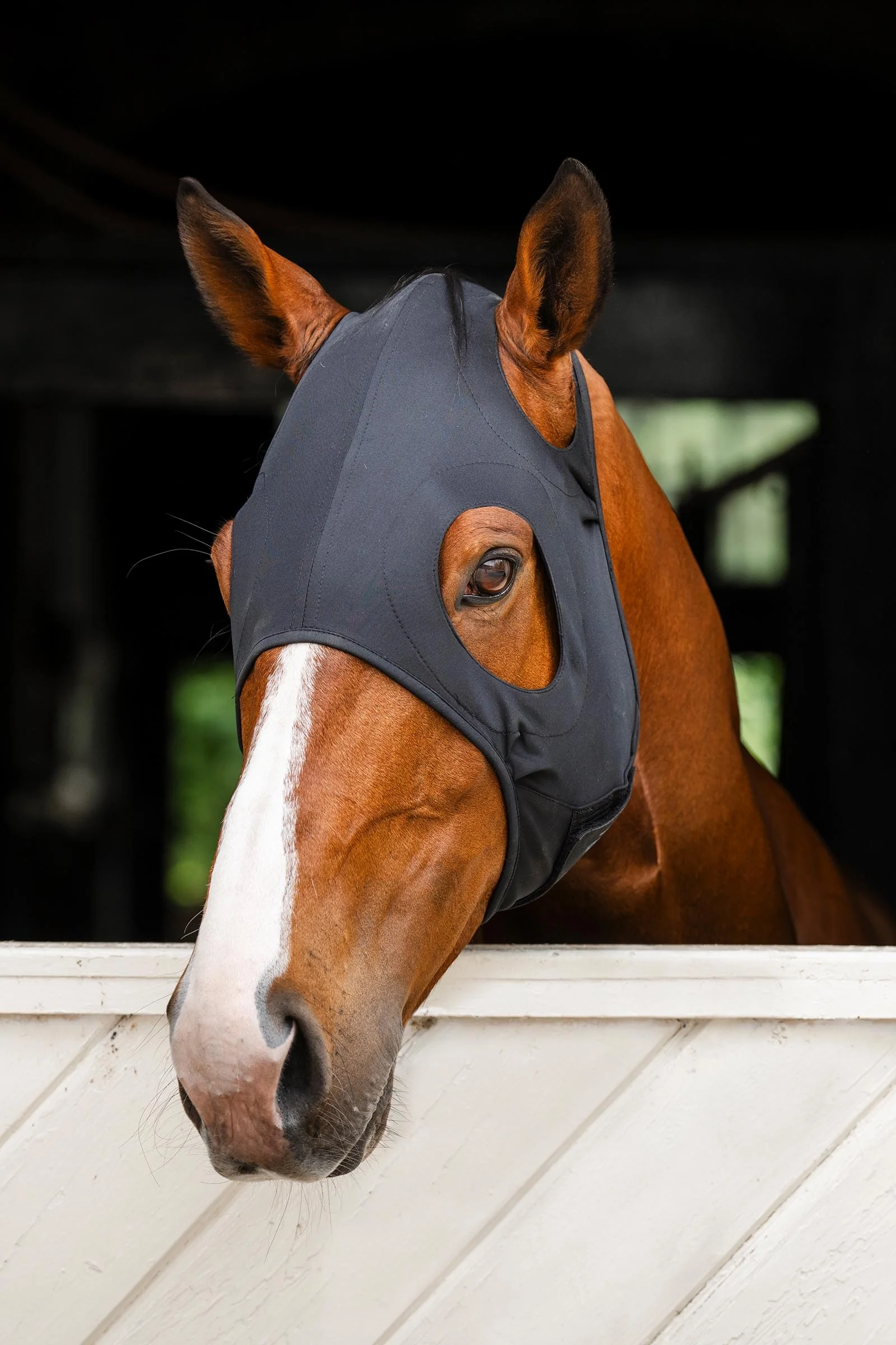 Ionic Calming Face Mask Black S
