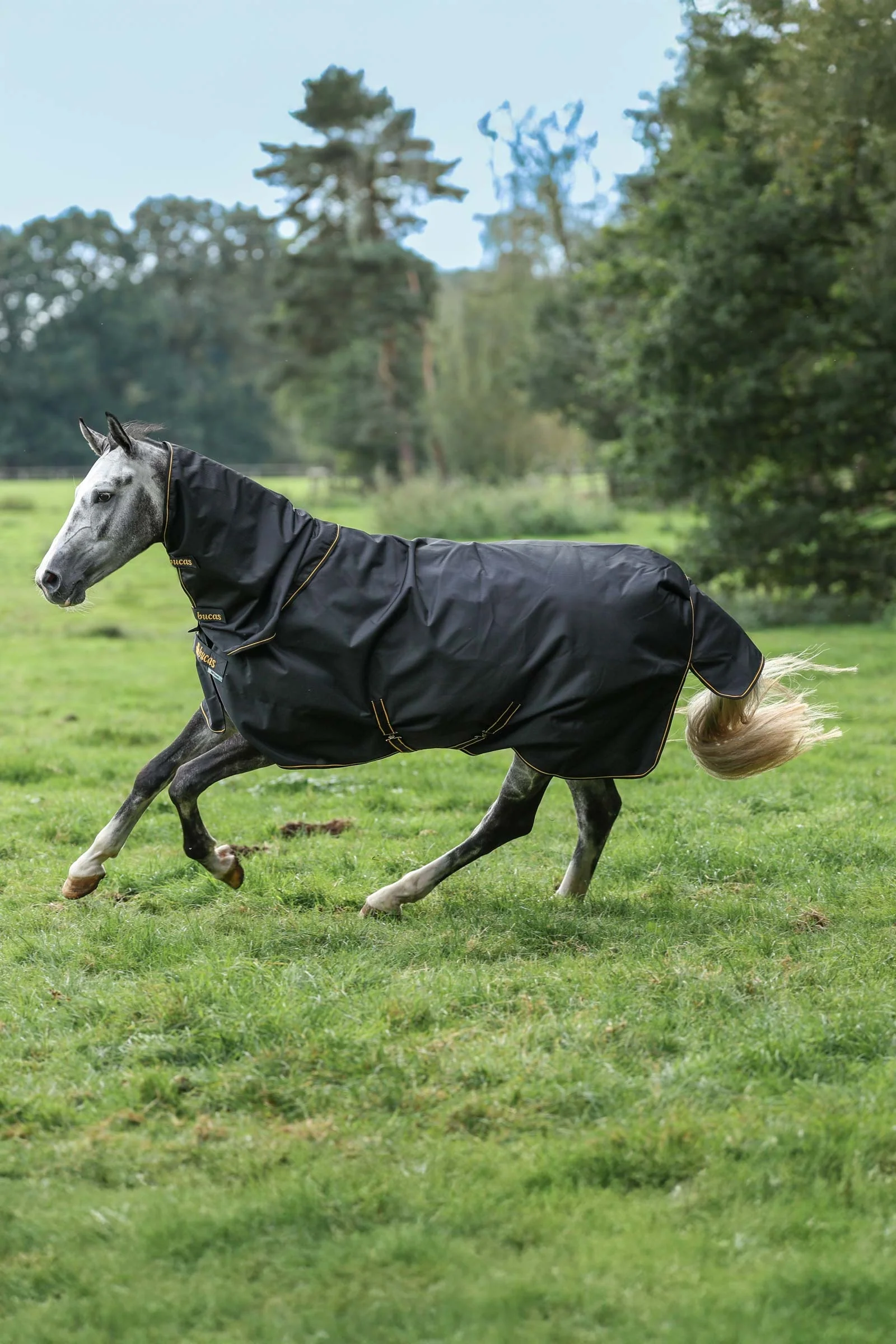 Irish Turnout 150 g Rug & Neck Set Black/Gold 125