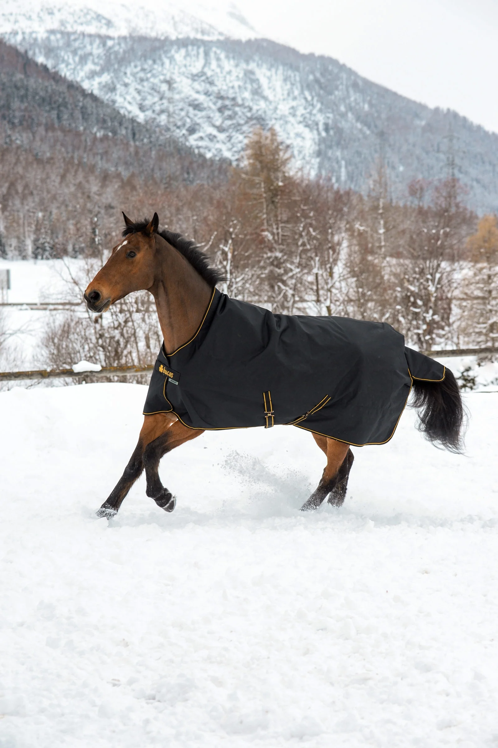 Irish Turnout Rug with High Neck, 300g Black/Gold 140