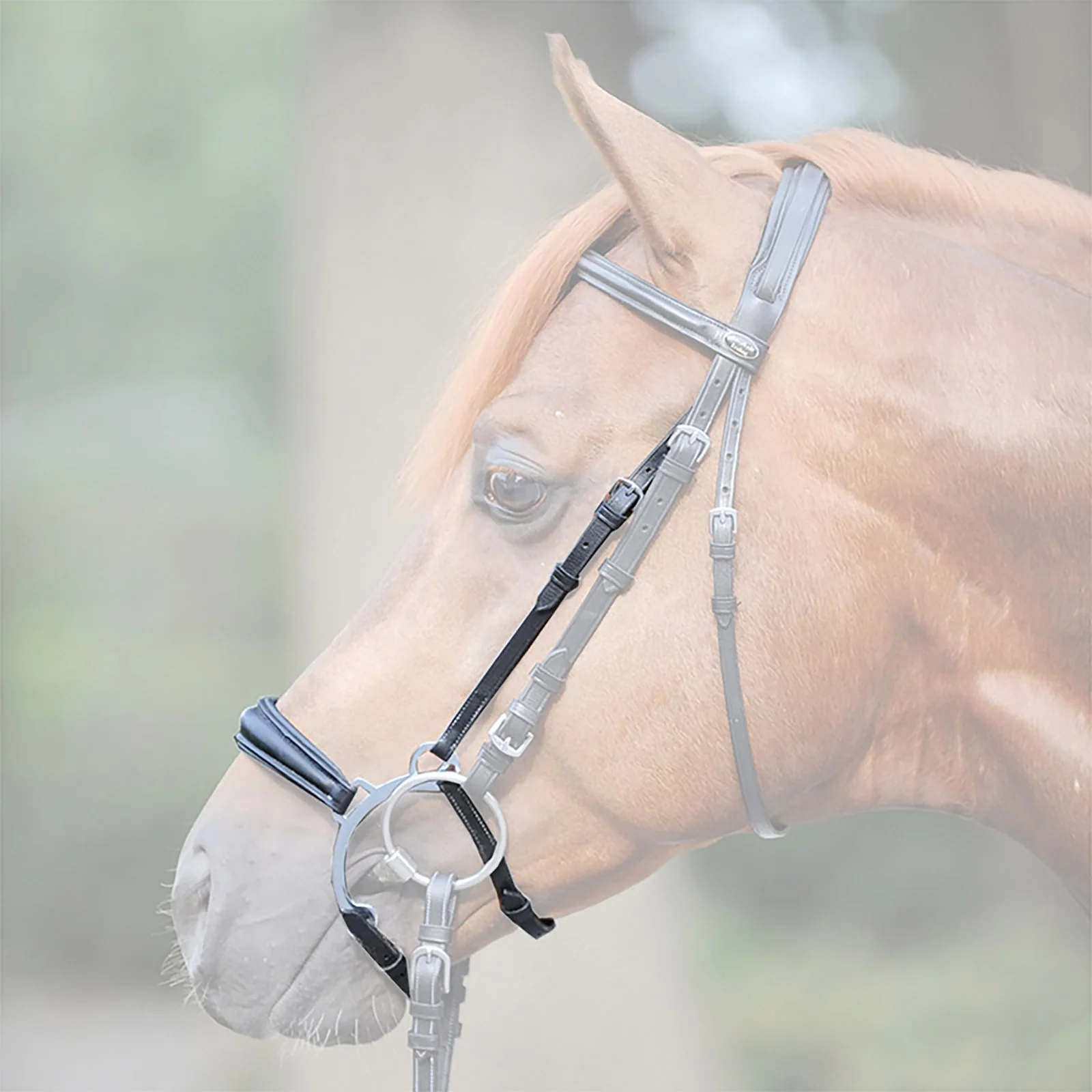 Iron noseband BL C