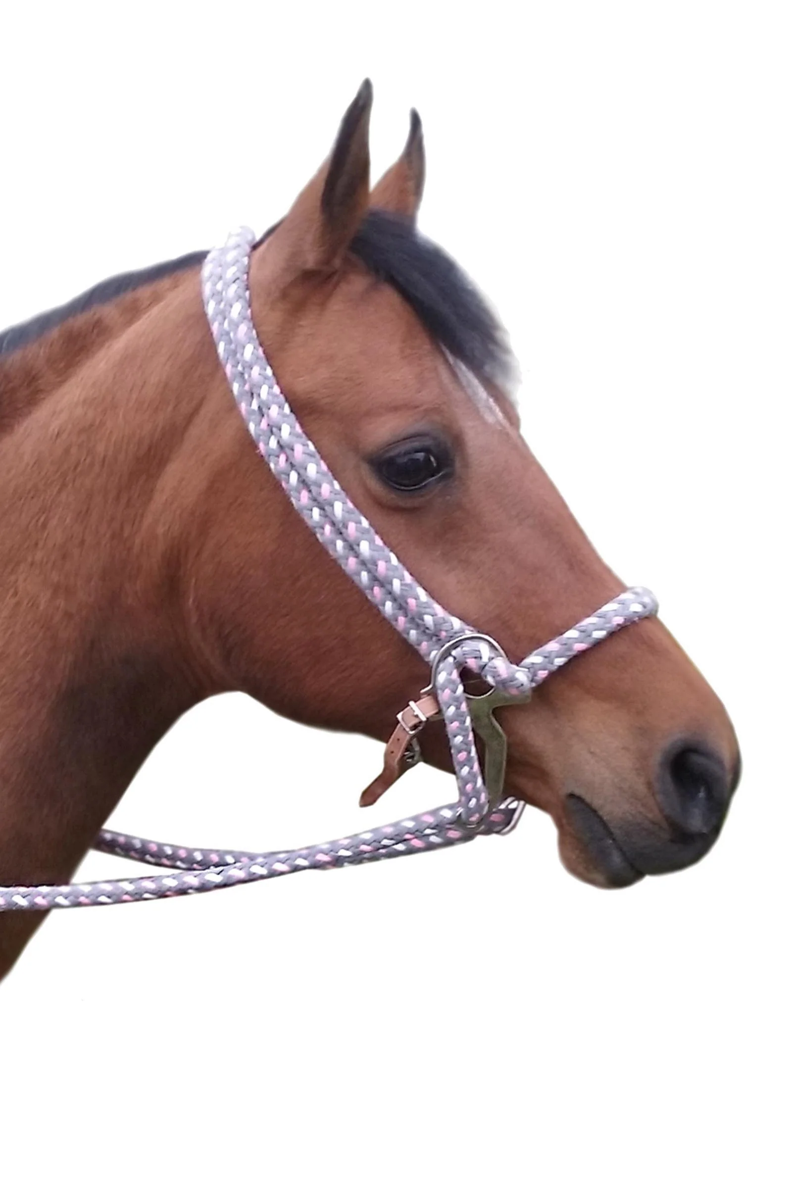 Jasper Hackamore Bridle Cotton Fur (System 2) DIV One Size