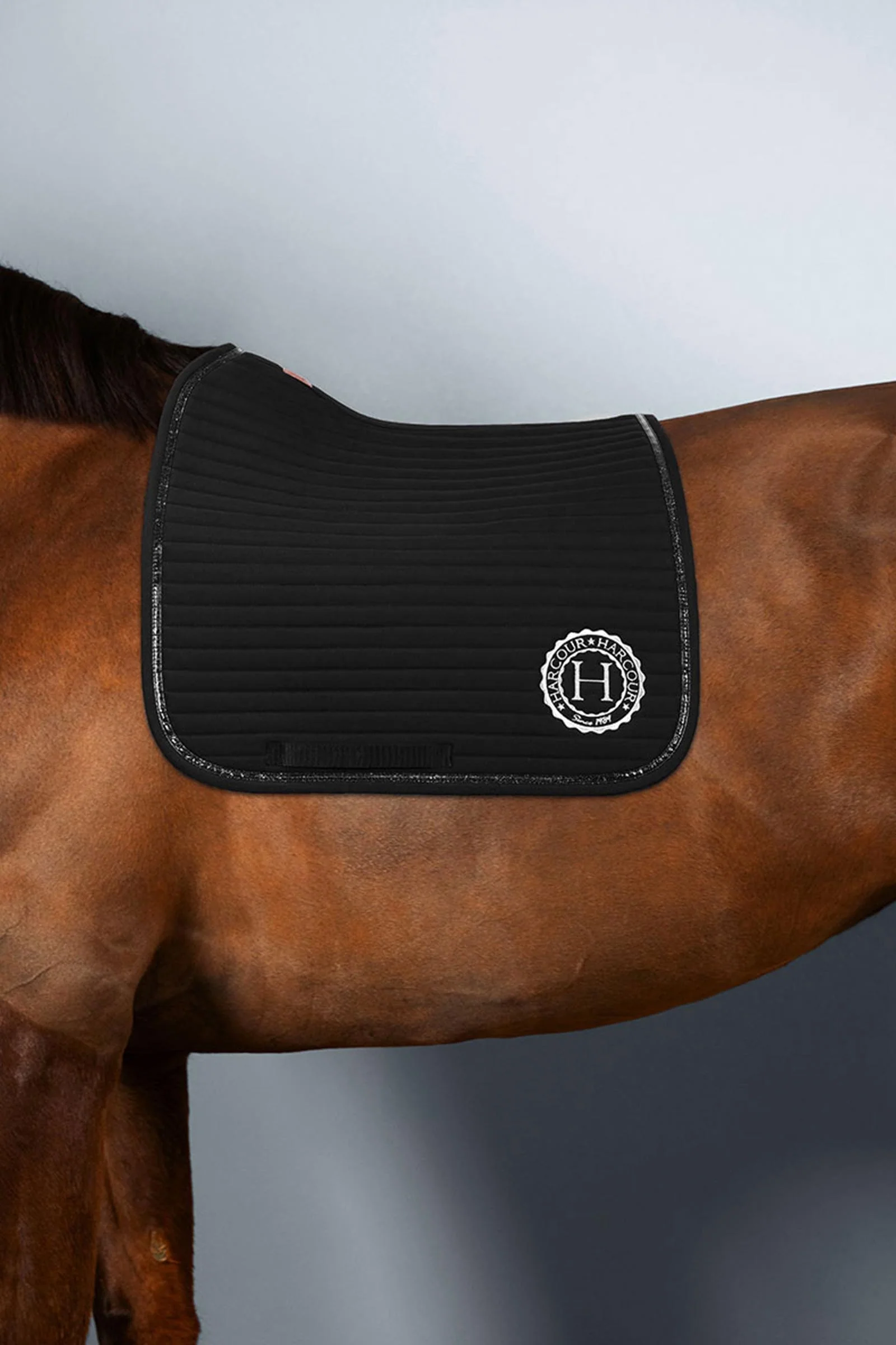 Karembar Dressage Saddle Pad Noir (Black) F