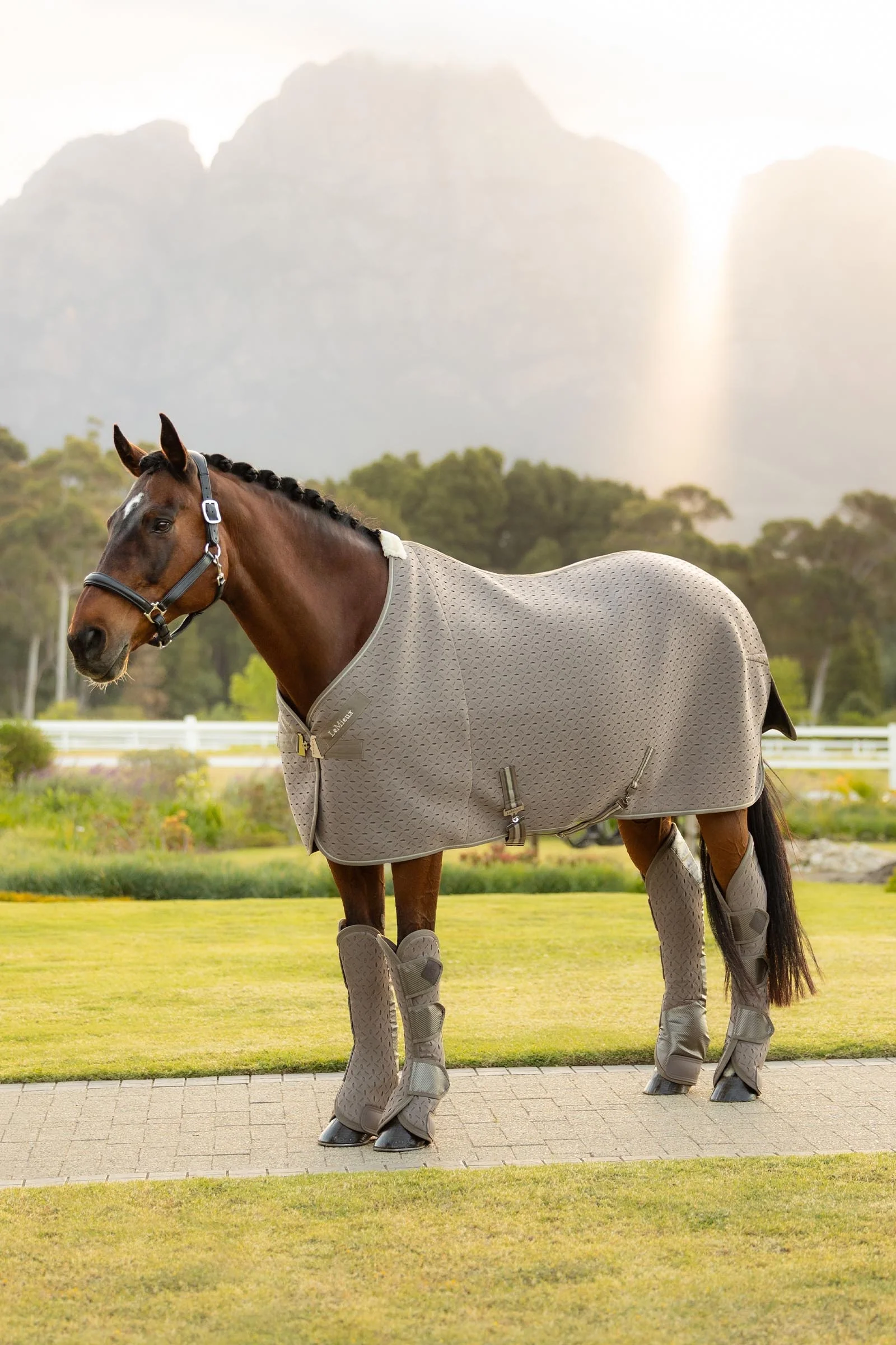 Kudos 3D Mesh Travel Rug Pecan 145