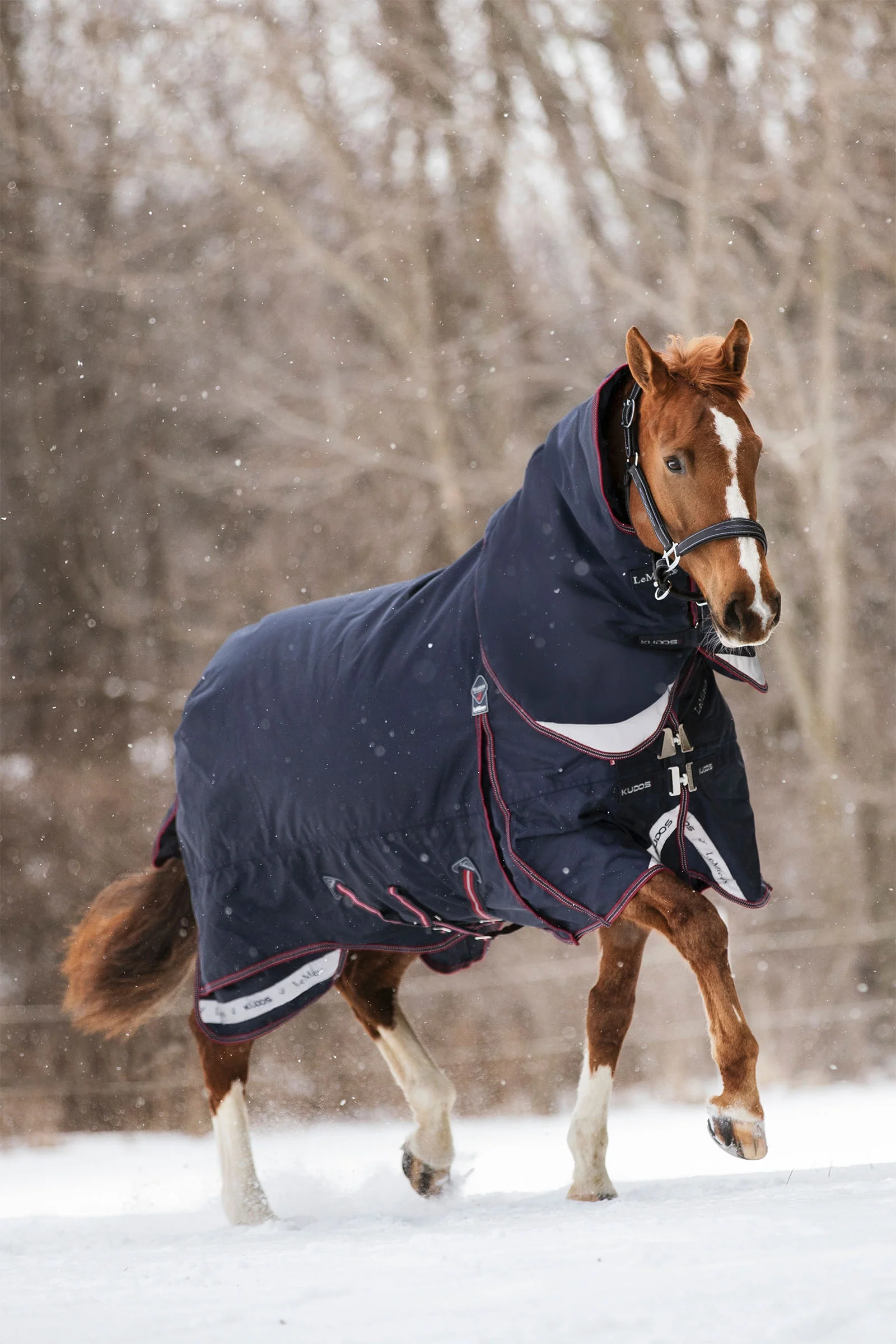 Kudos Turnout Rug, 350 g Navy 155