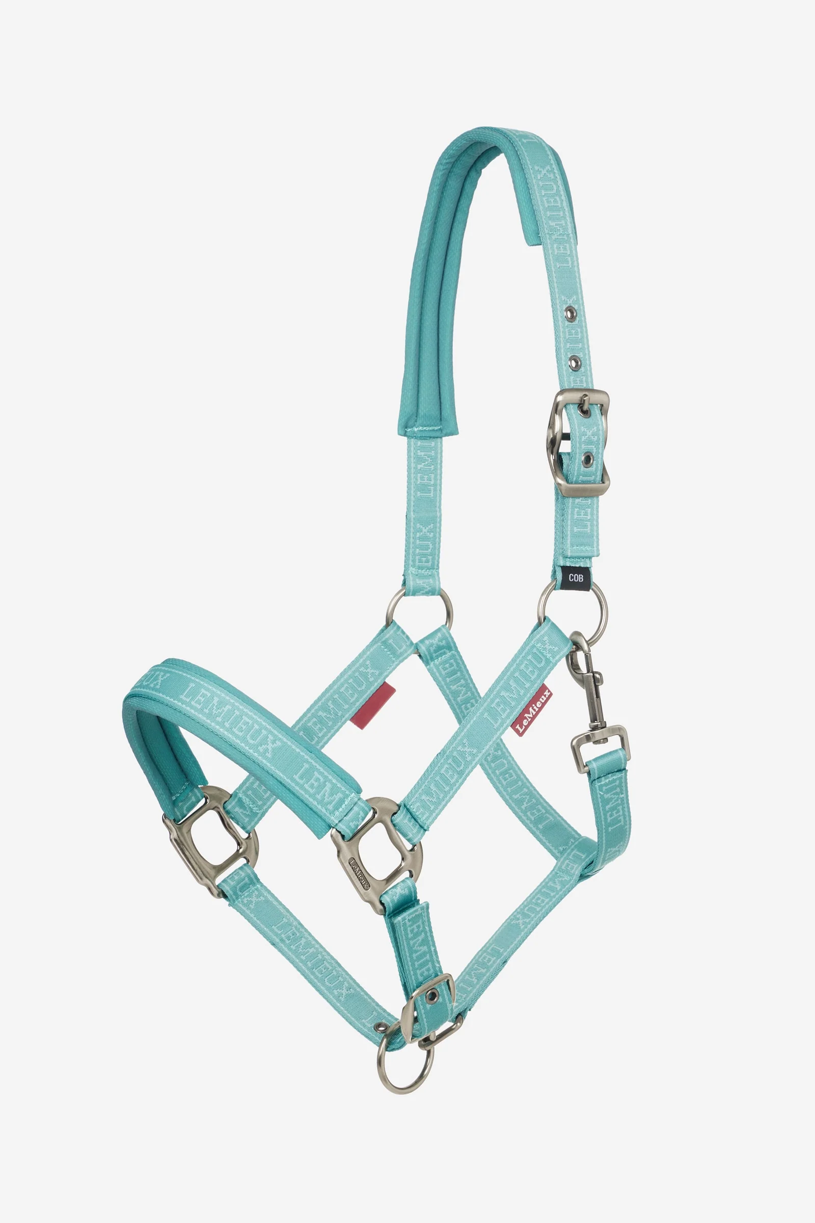 Logo Headcollar Lagoon F