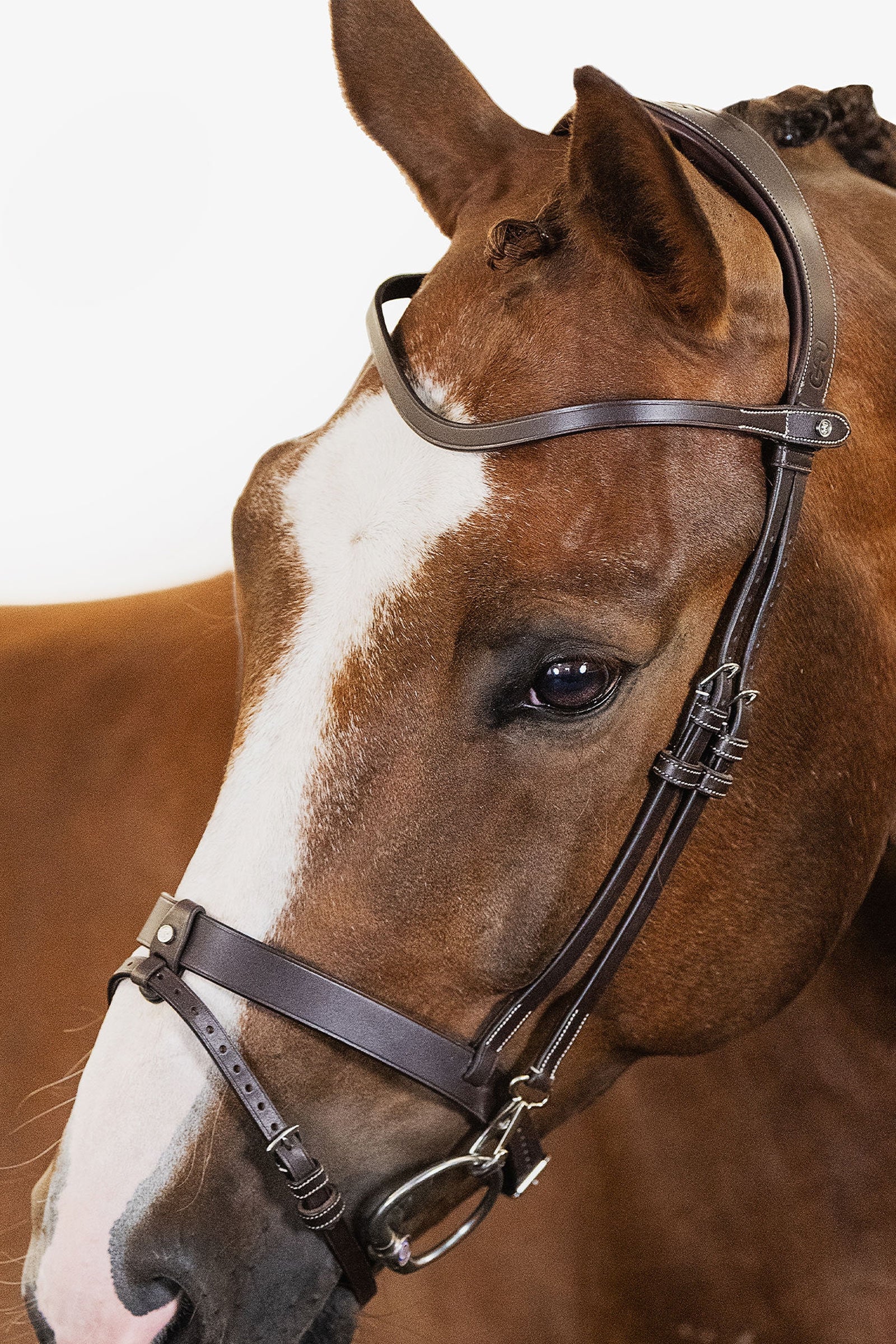 London Bridle Brown Leather F
