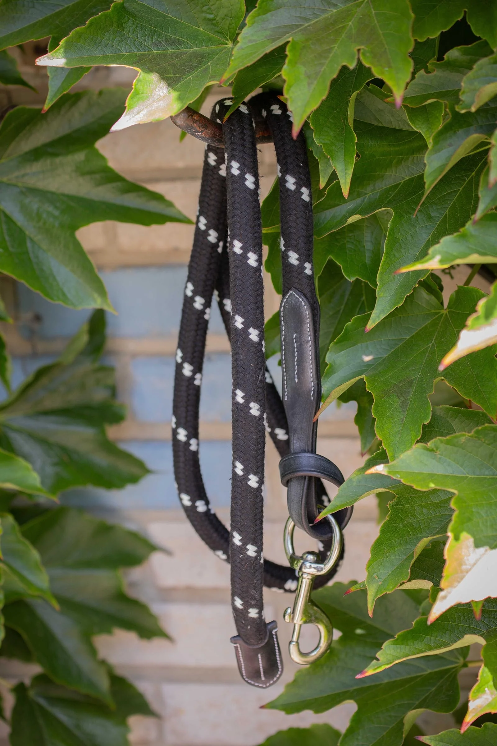 Longe In Rope and Leather (1,5 m) Black 150