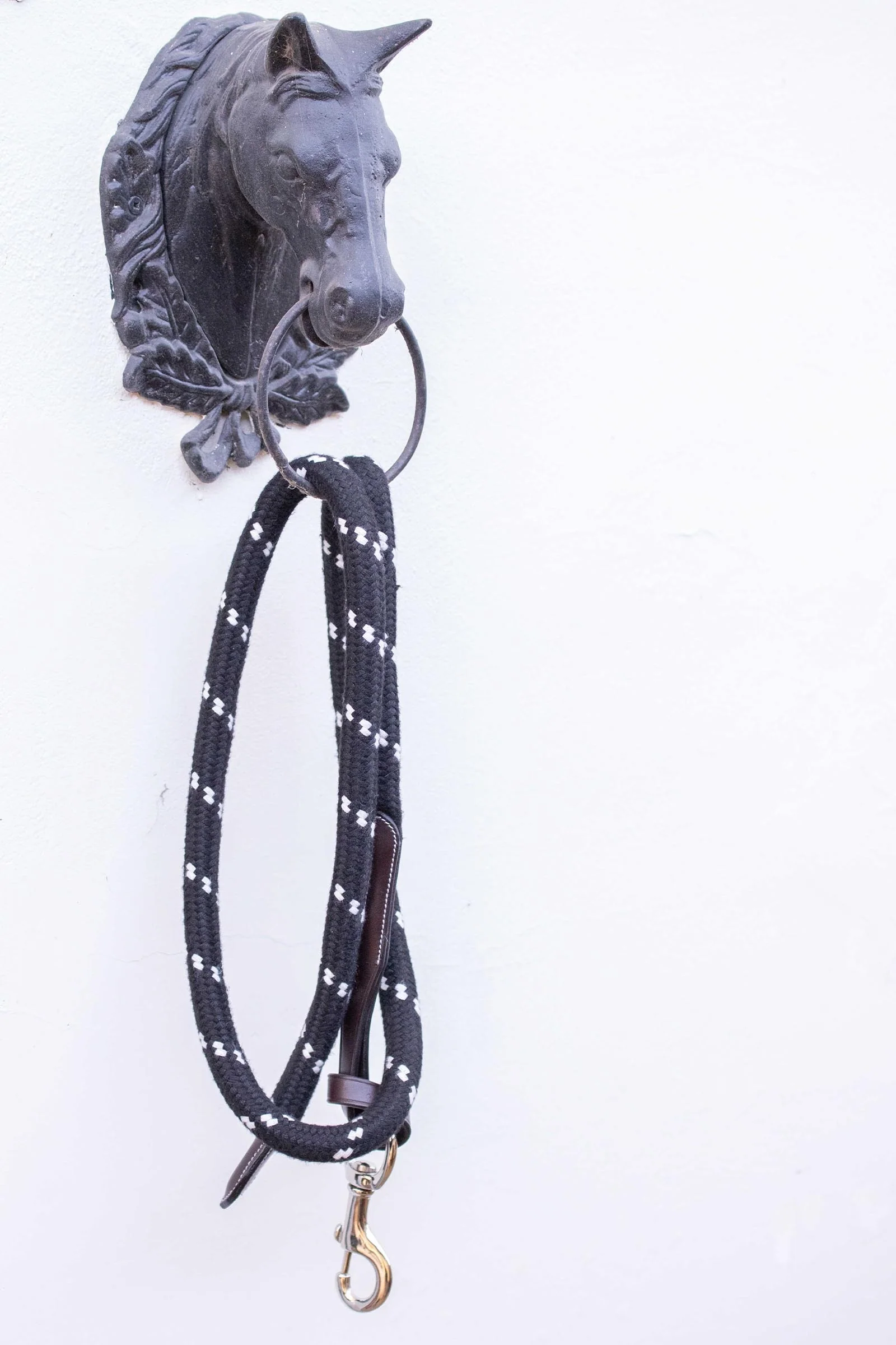 Longe In Rope and Leather (1,5 m) Brown 150