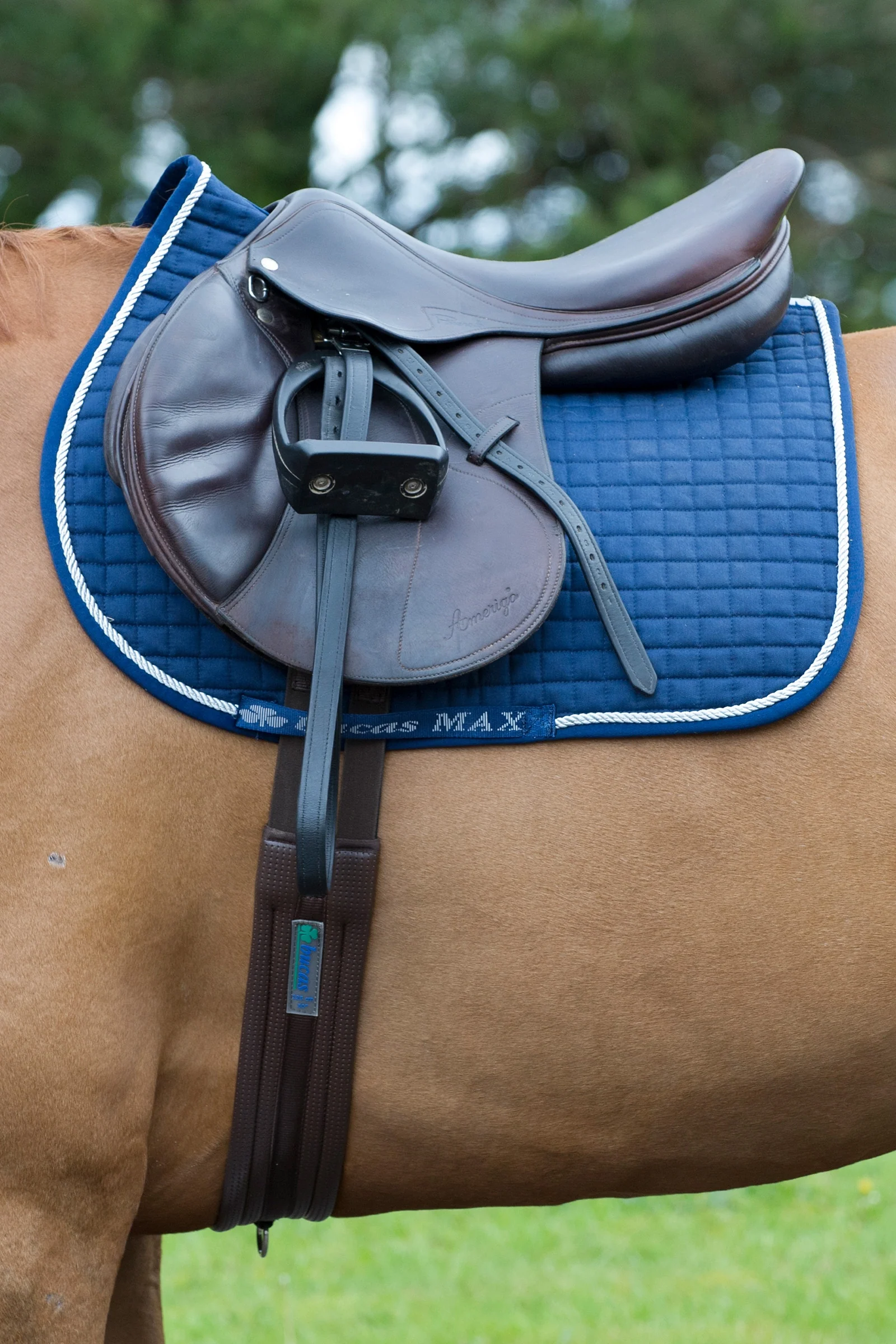 Max Saddle Pad Jumping/AP DB/SI One Size