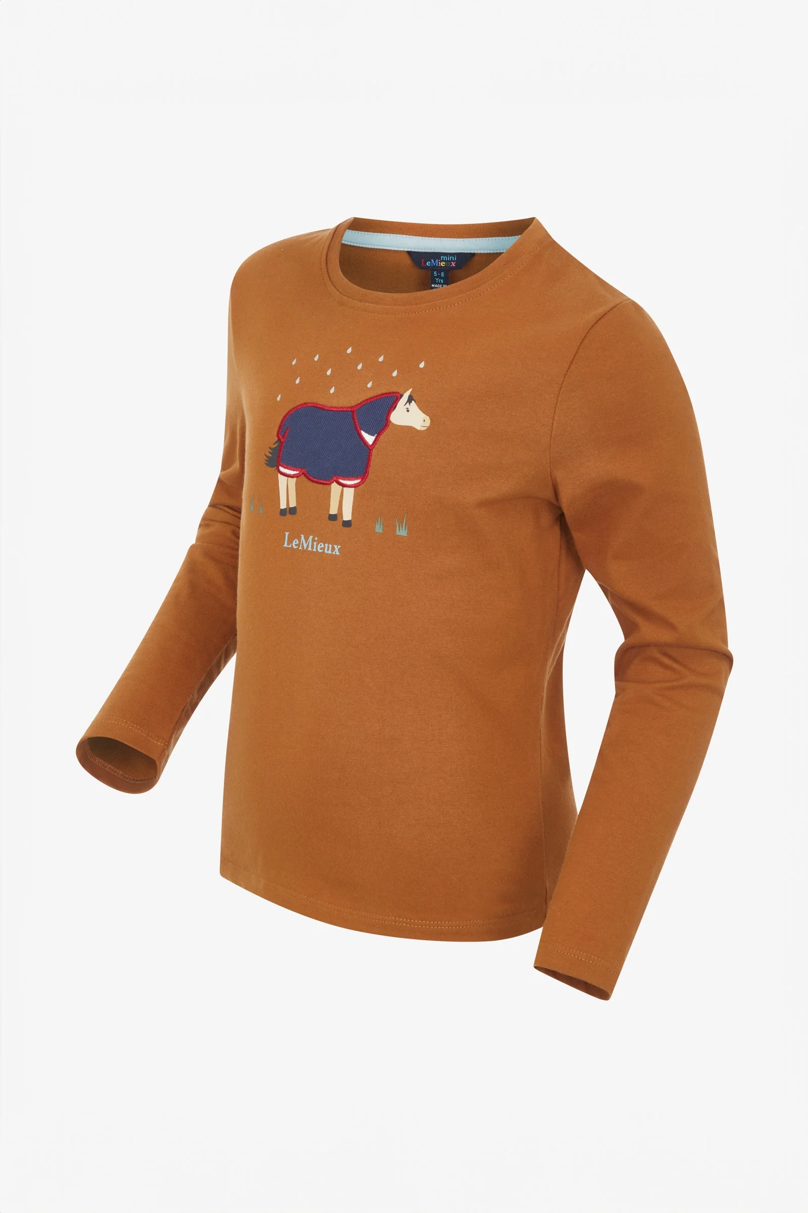 Mini Jessie Long Sleeve Top Ginger 9-10 years