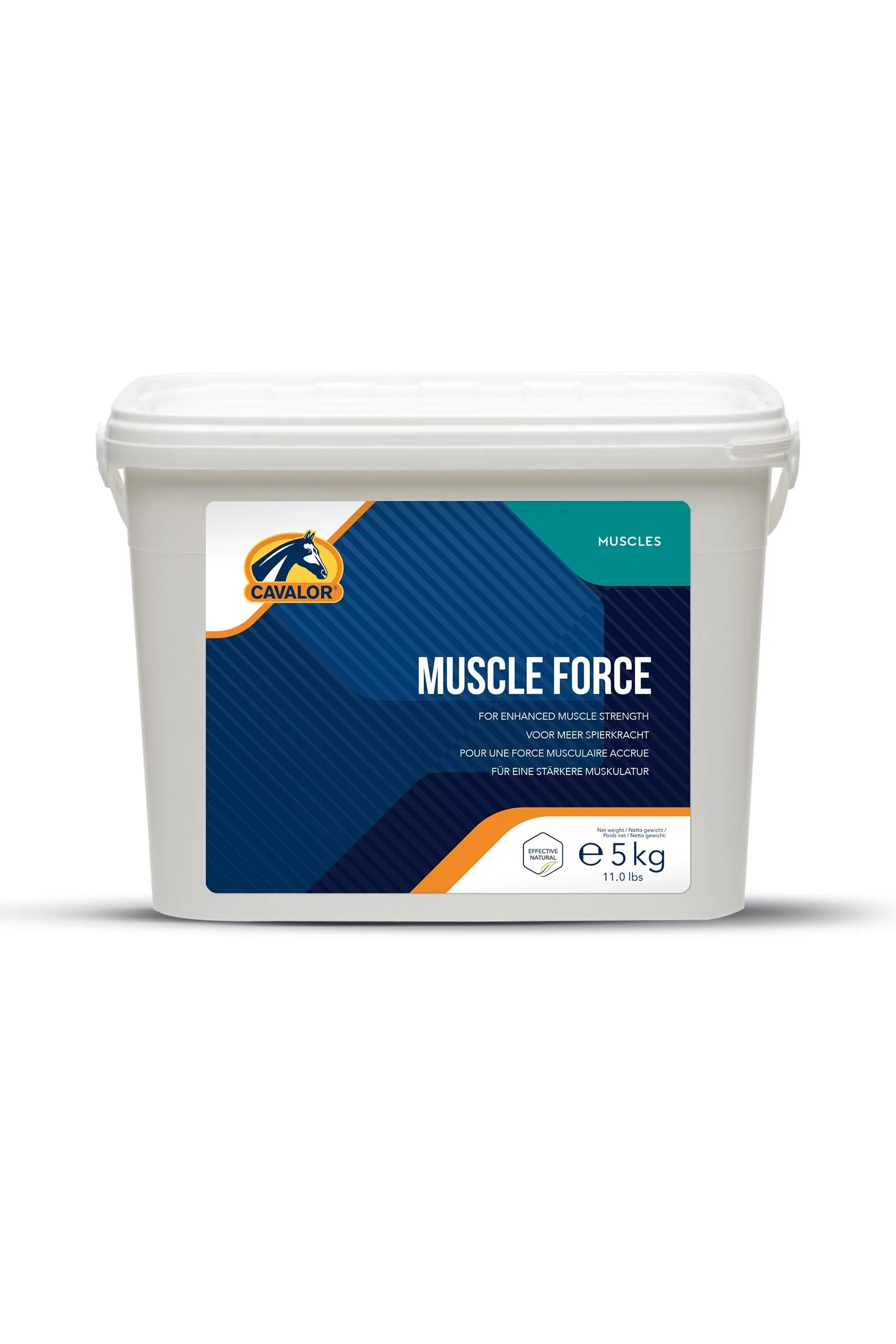 Muscle Force, Muscles & Tendons, 5 kg No Color 1