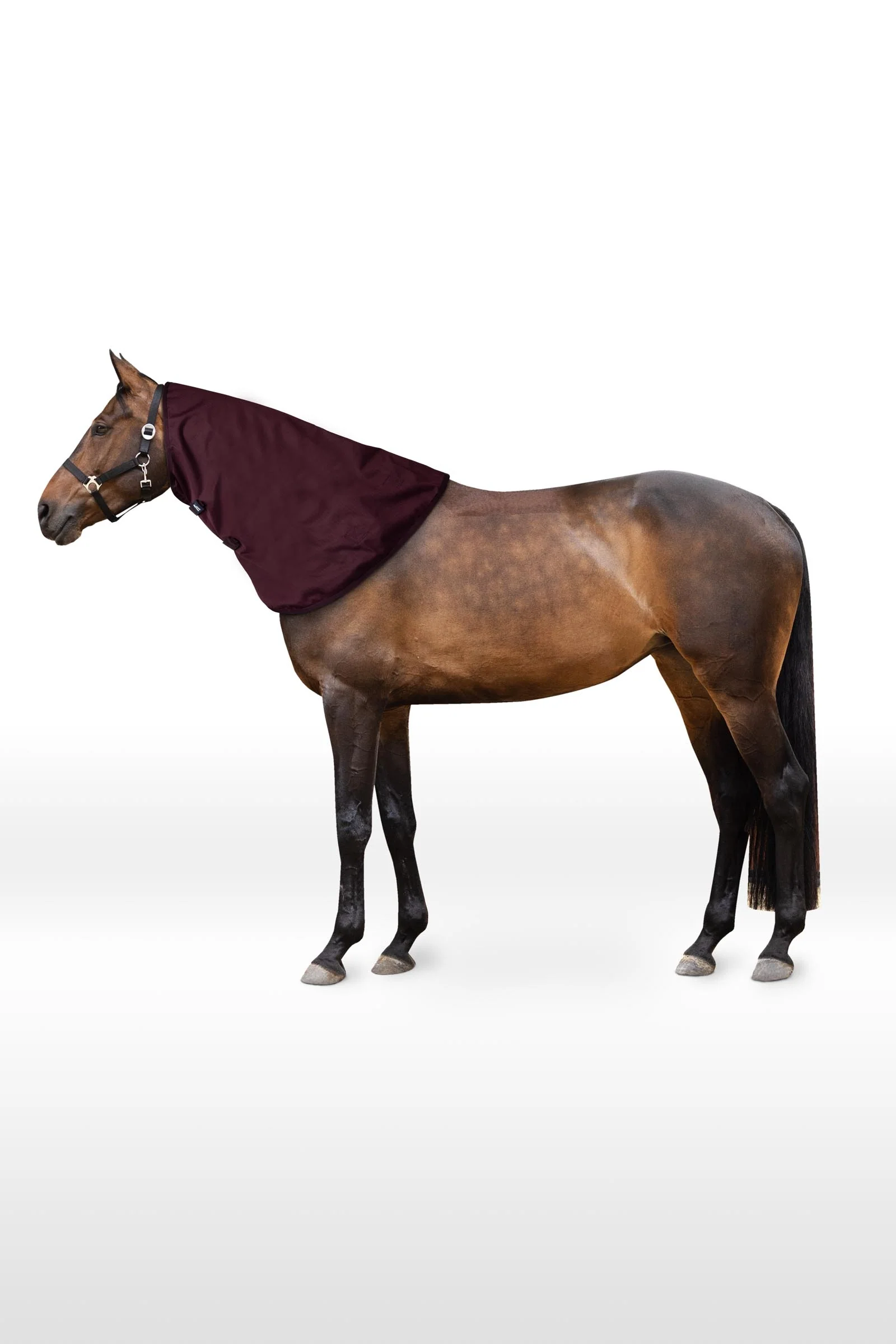 Newbridge Neck Piece, 100 g Fig M