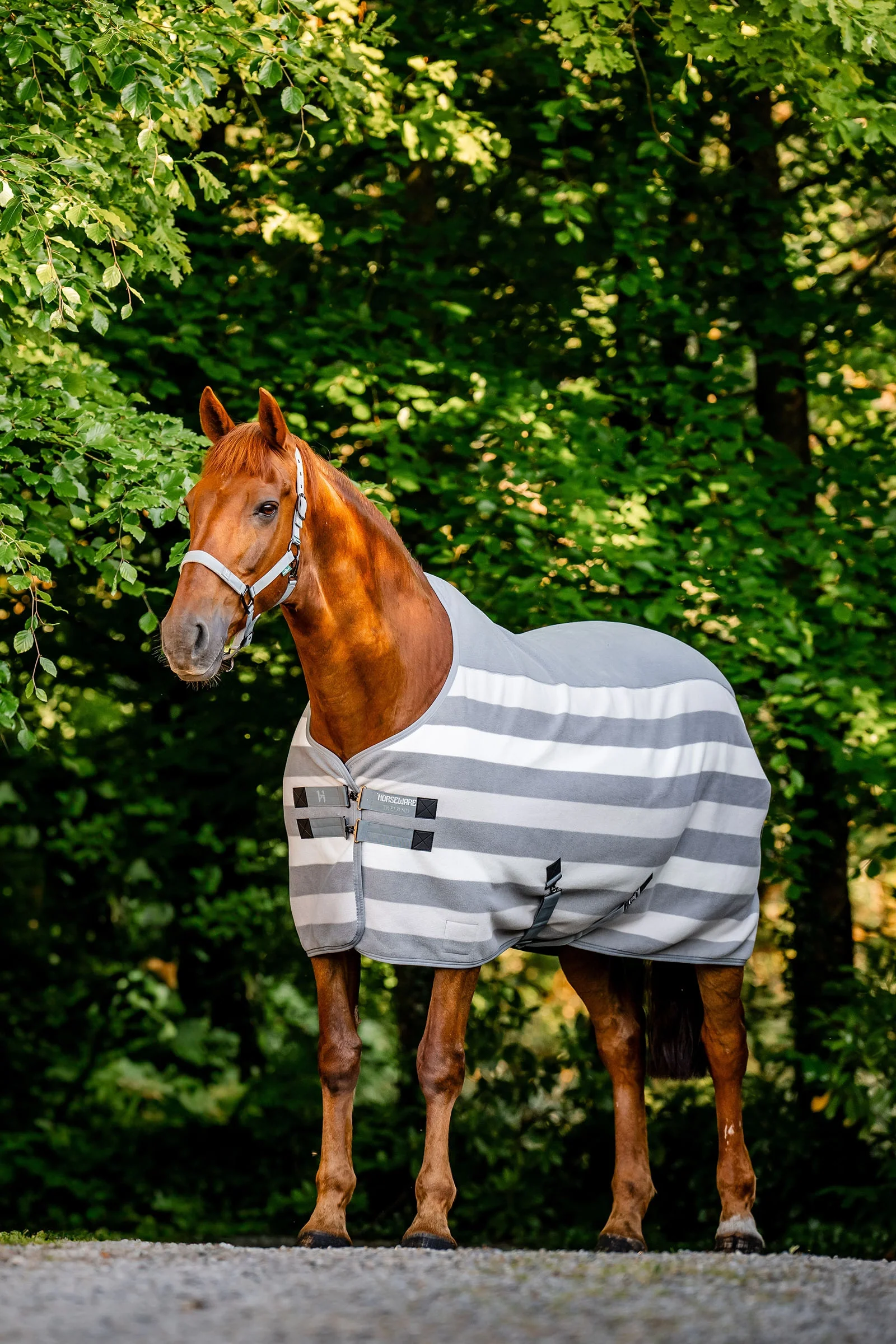 Newmarket Fleece Cooler Witney Charcoal 140
