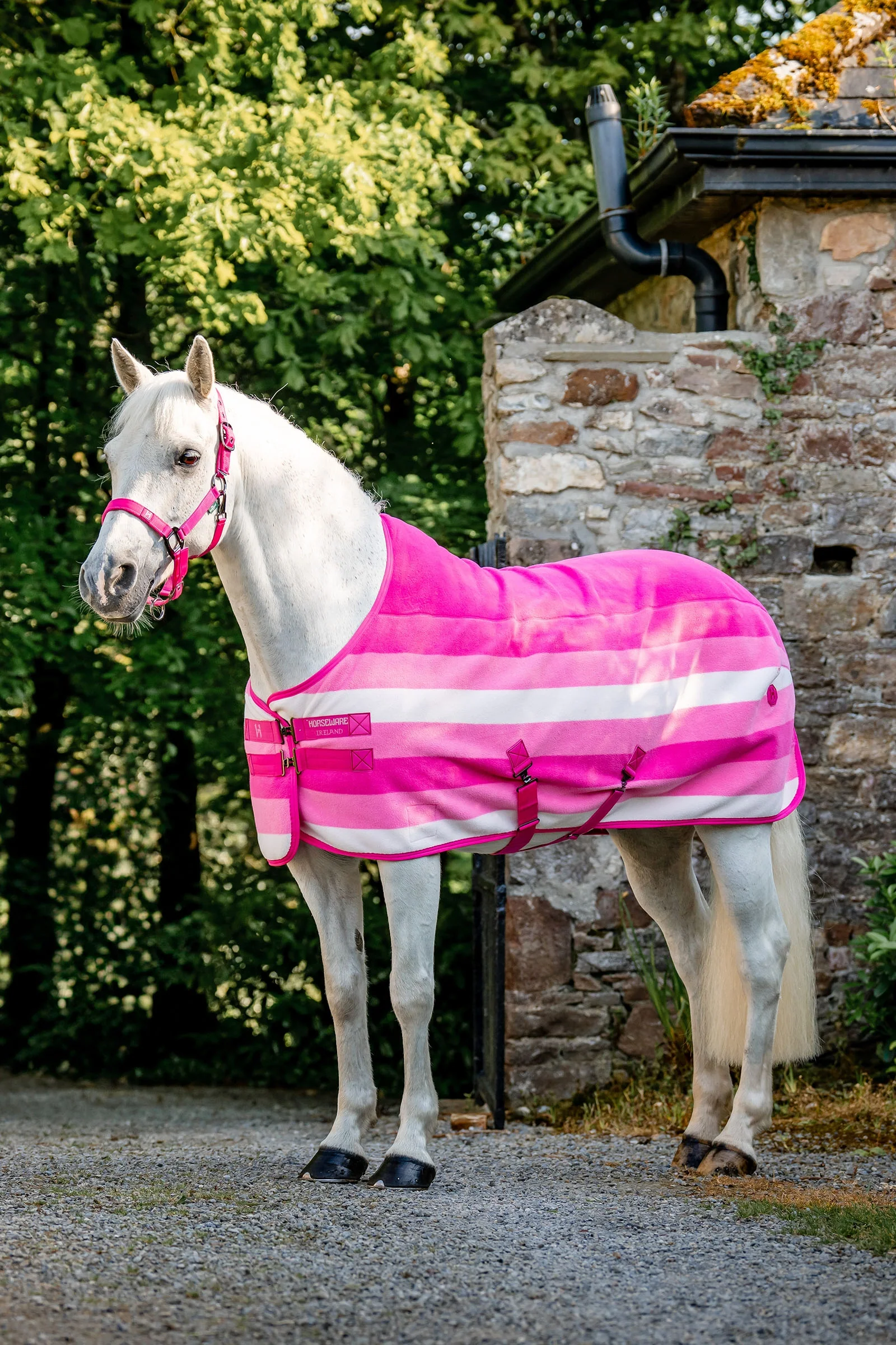 Newmarket Fleece Cooler Witney Pink 125