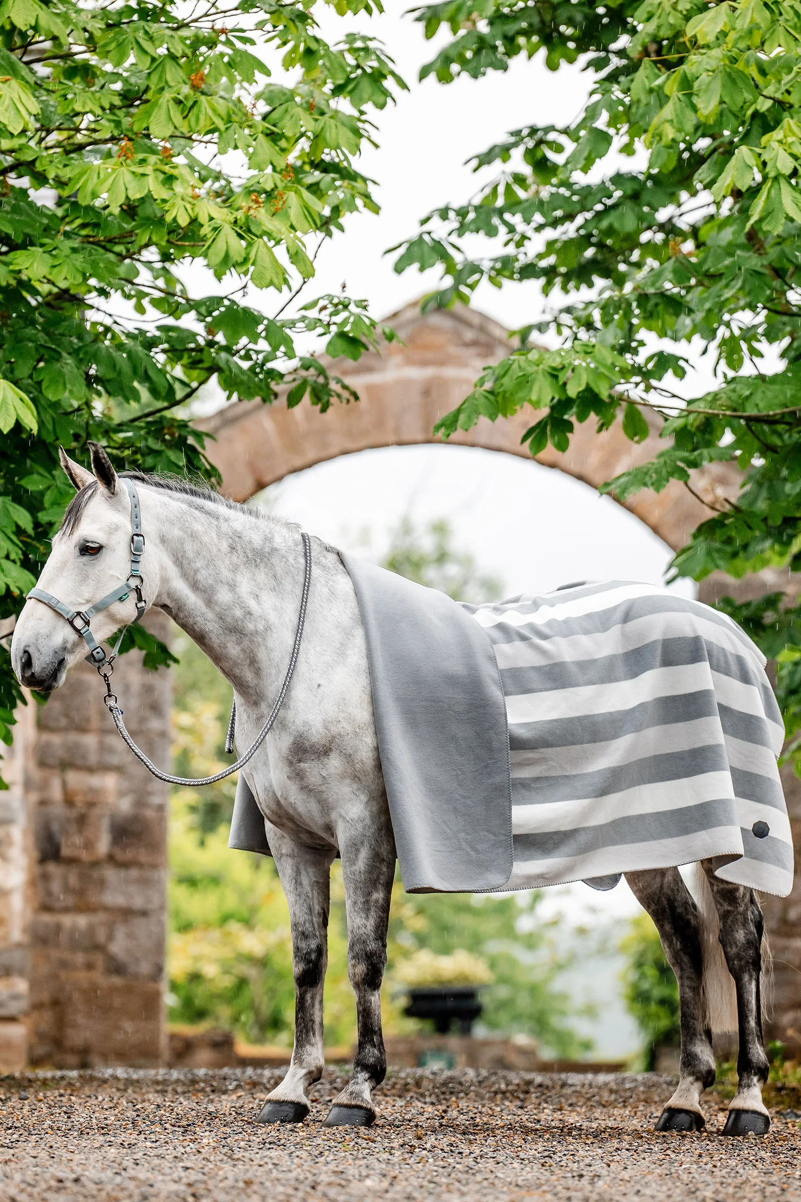 Newmarket Fleece (Square) Witney Charcoal P