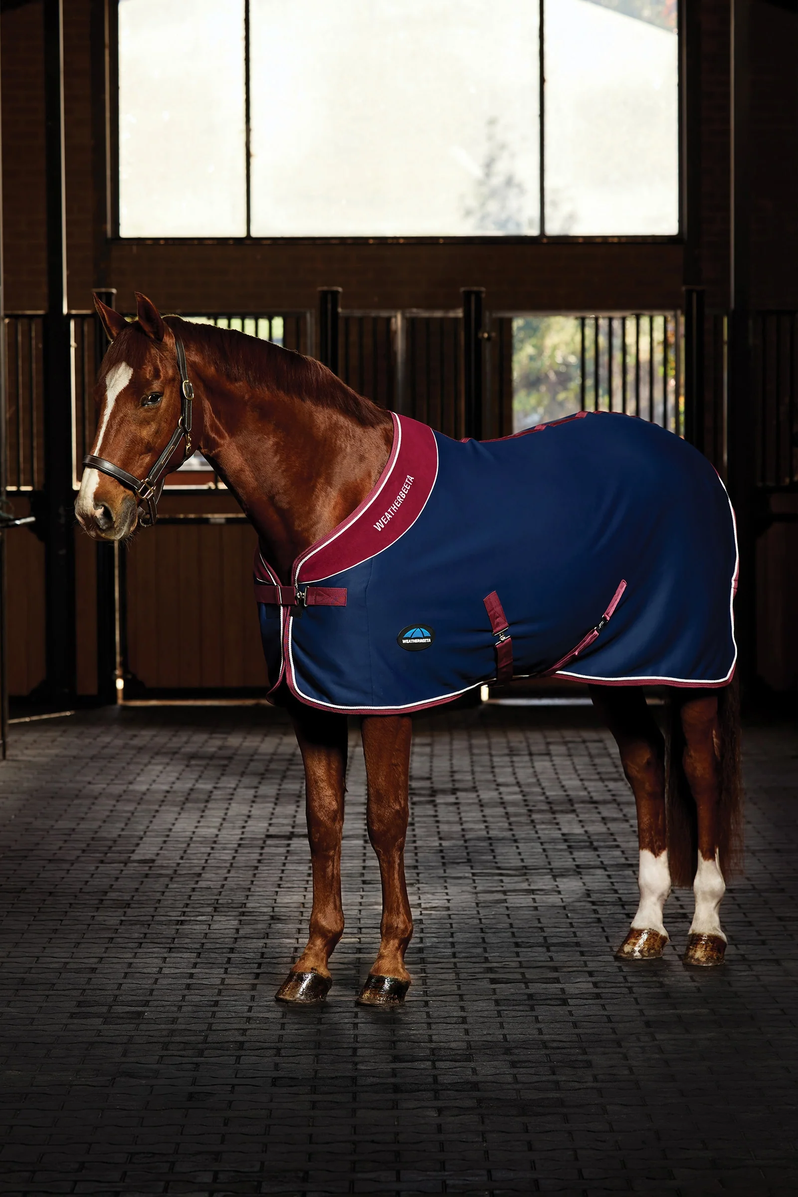 Opulence Show Sheet Standard Neck Navy/Burgundy 135
