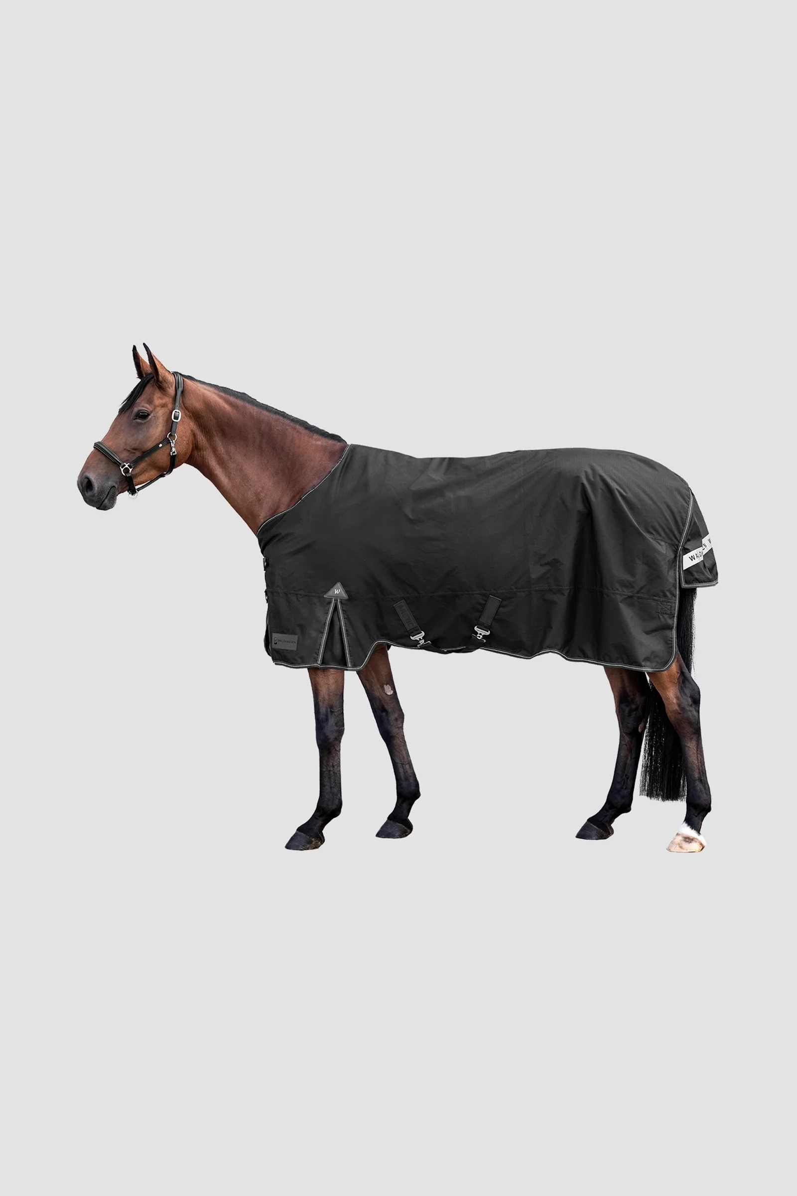 Outdoor Rug Arctic Light Black 145