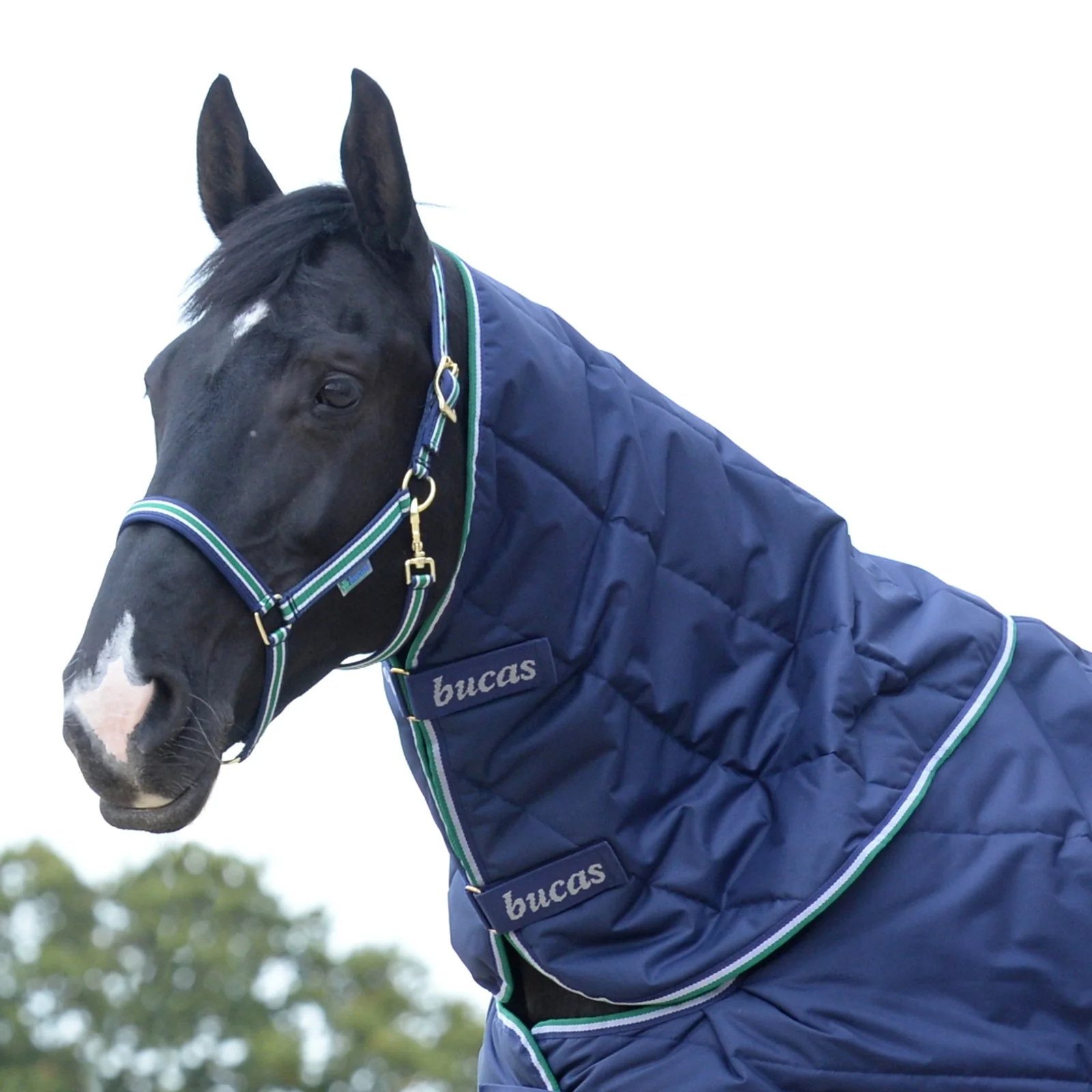 Quilt Neck Dark Blue 135