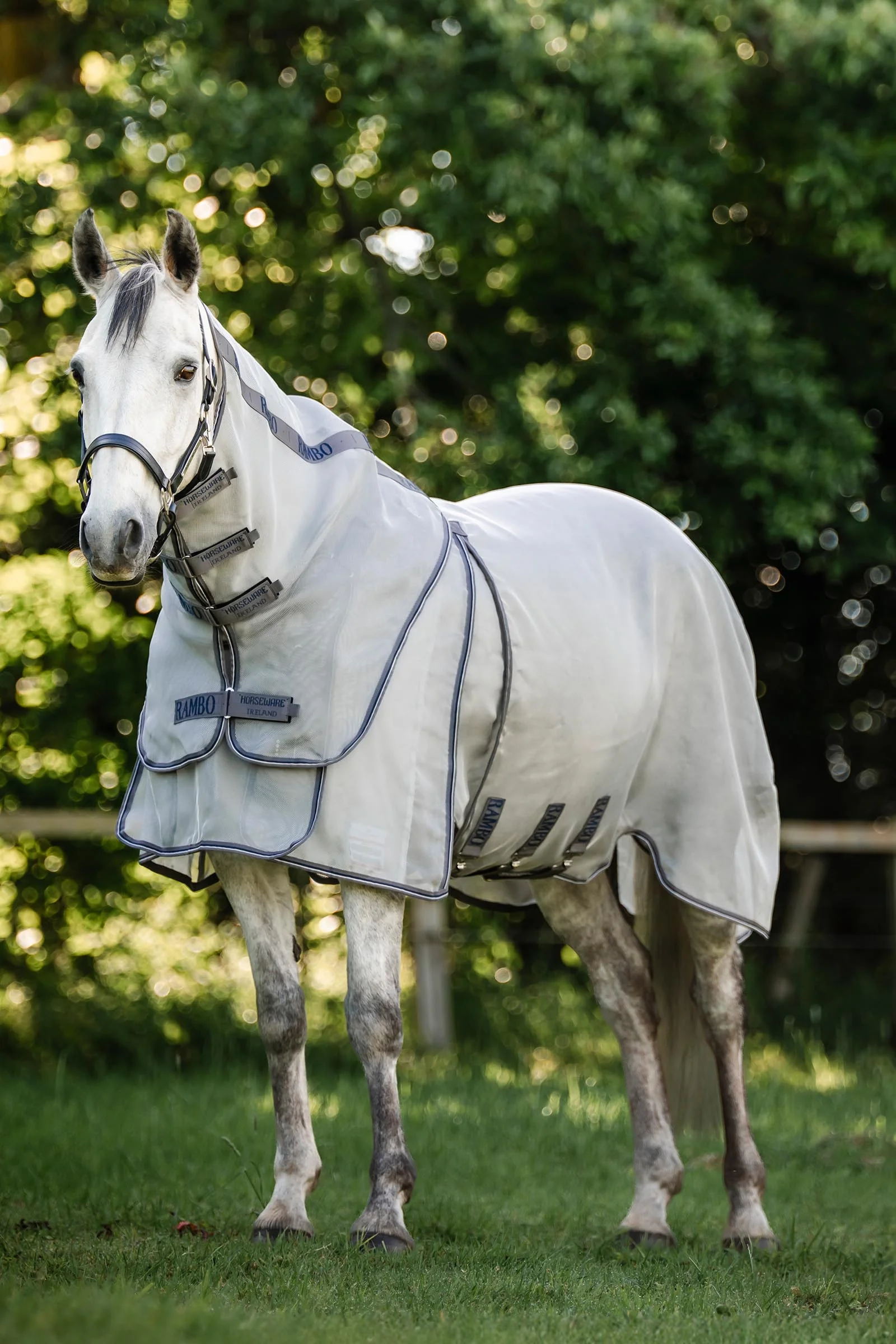 Rambo Optimo Protector Plus Rug Silver/Thunderstorm Grey & Silver 155