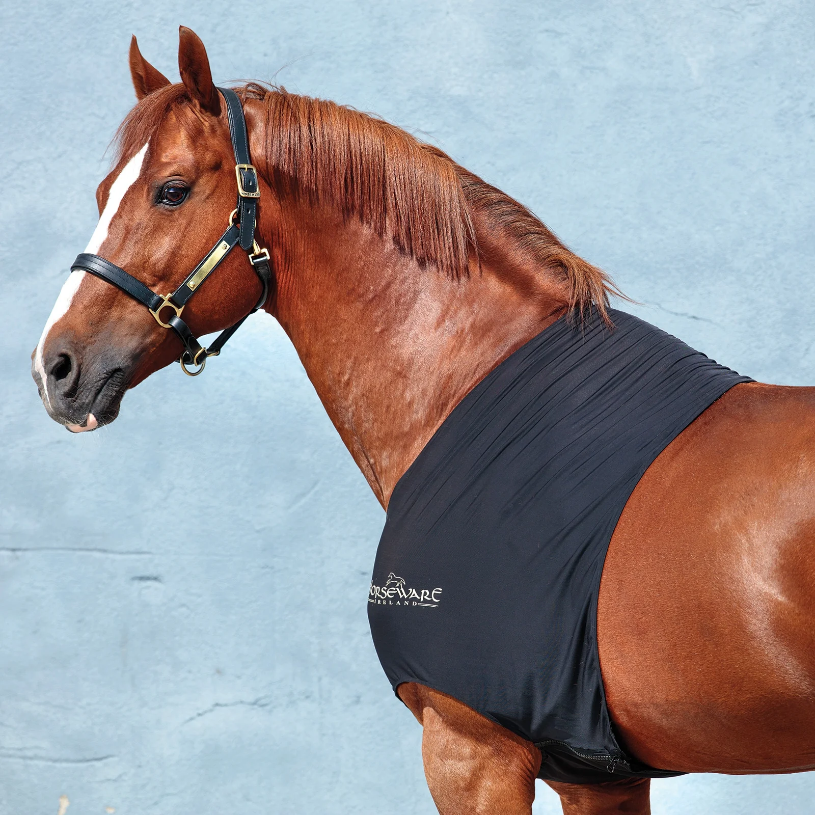 Rambo Slinky Shoulder BL XS