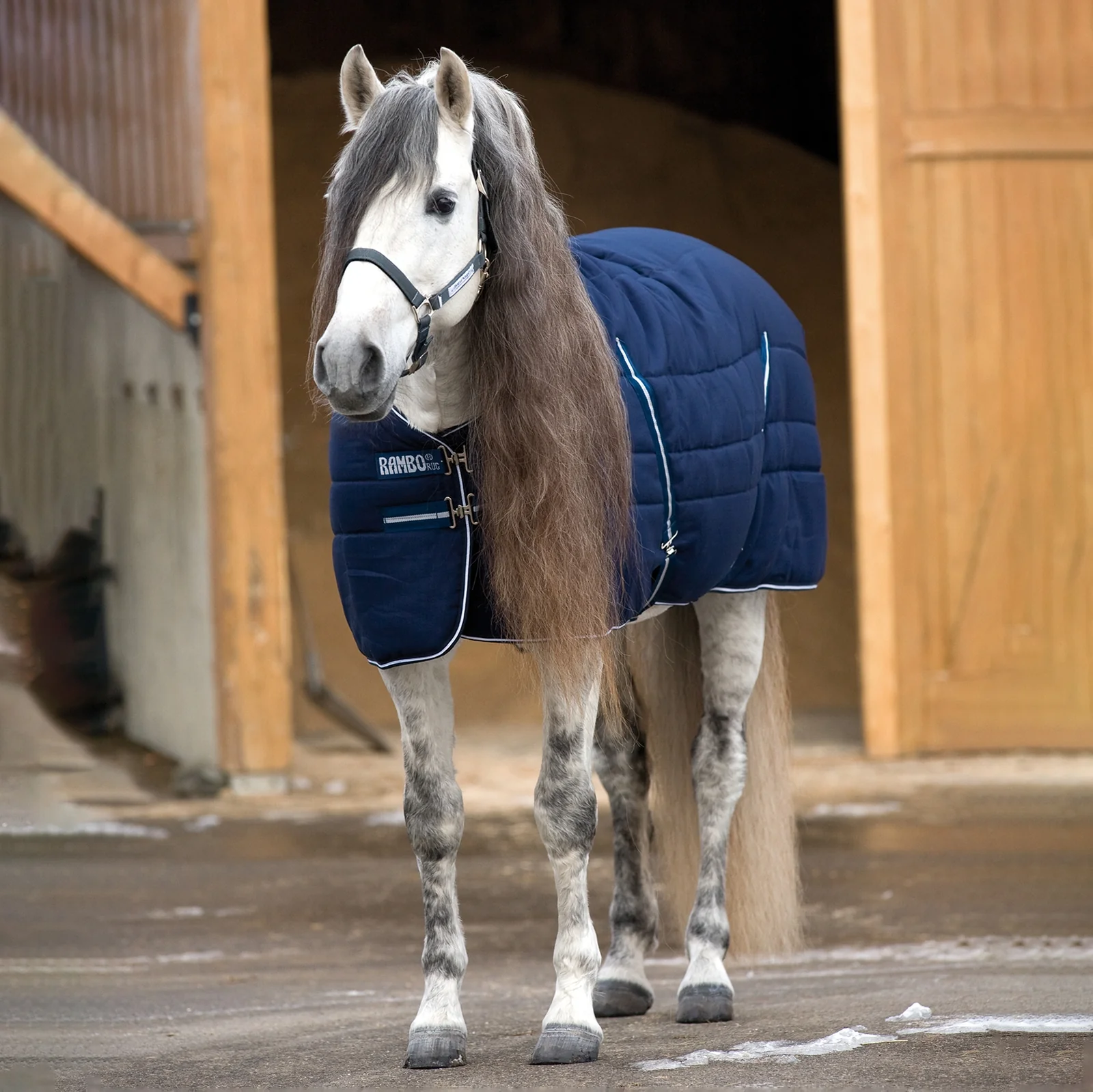 Rambo Stable Rug, 400g Dark Blue/Dark Blue/White 130