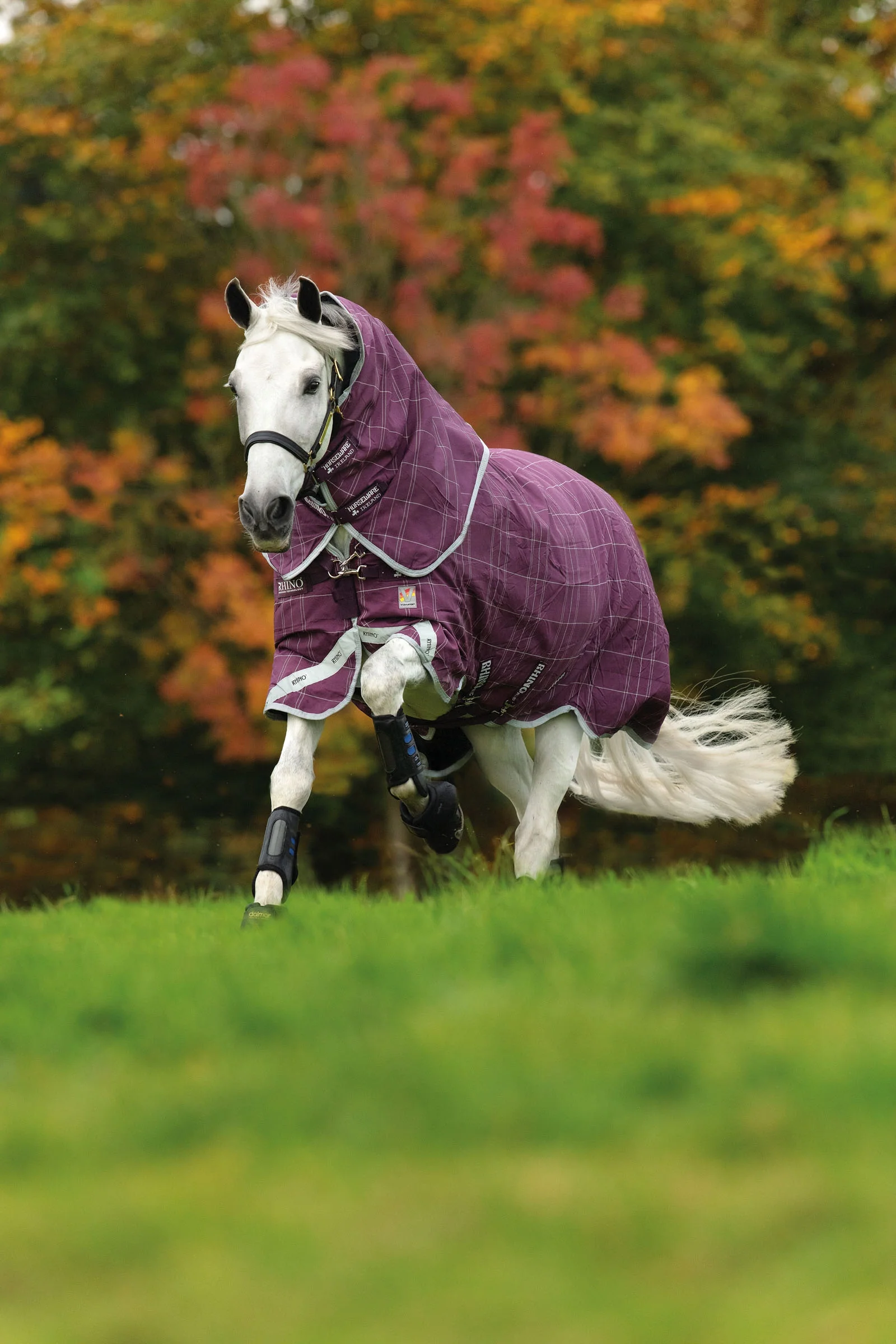 Rhino Plus Vari-Layer Turnout Rug with Detachable Neck, 450g Burgundy/Grey/White 155