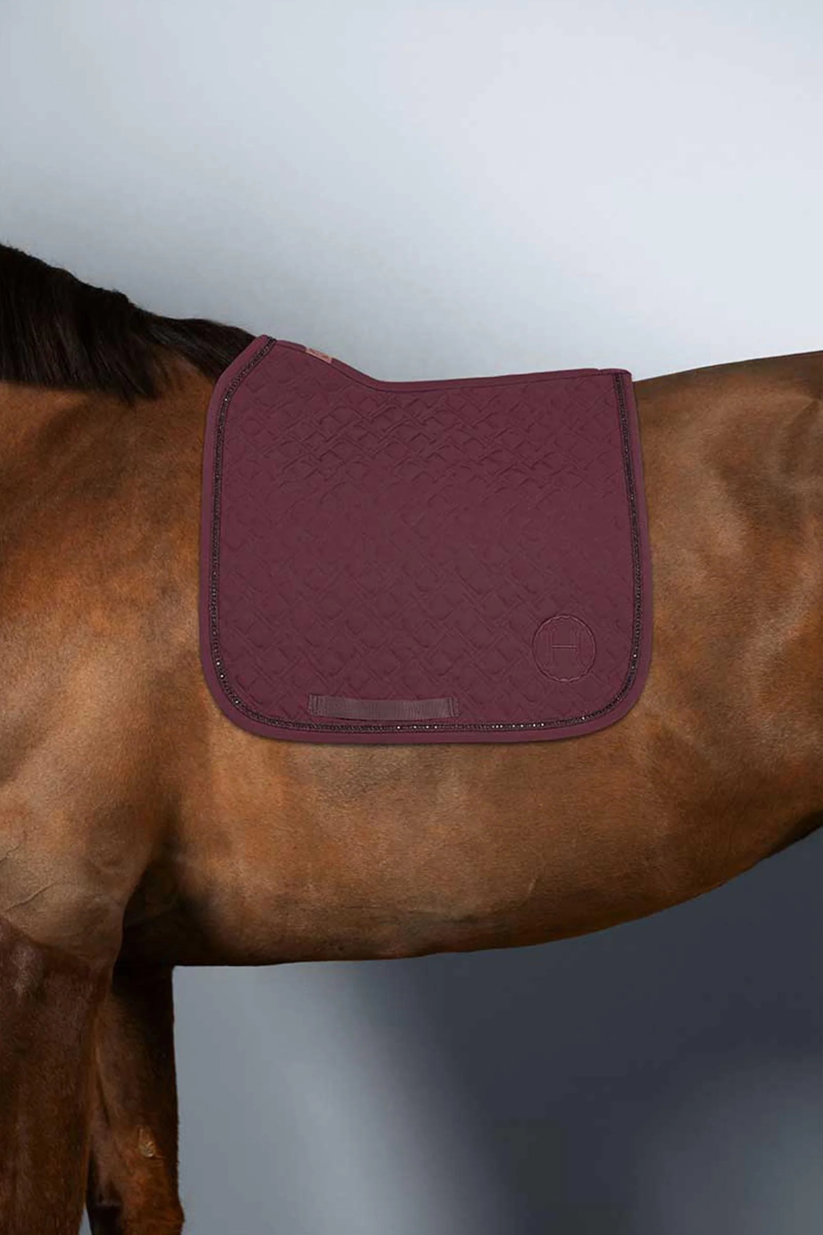 Saphir Saddle Pad Dressage Aubergine (Eggplant) F
