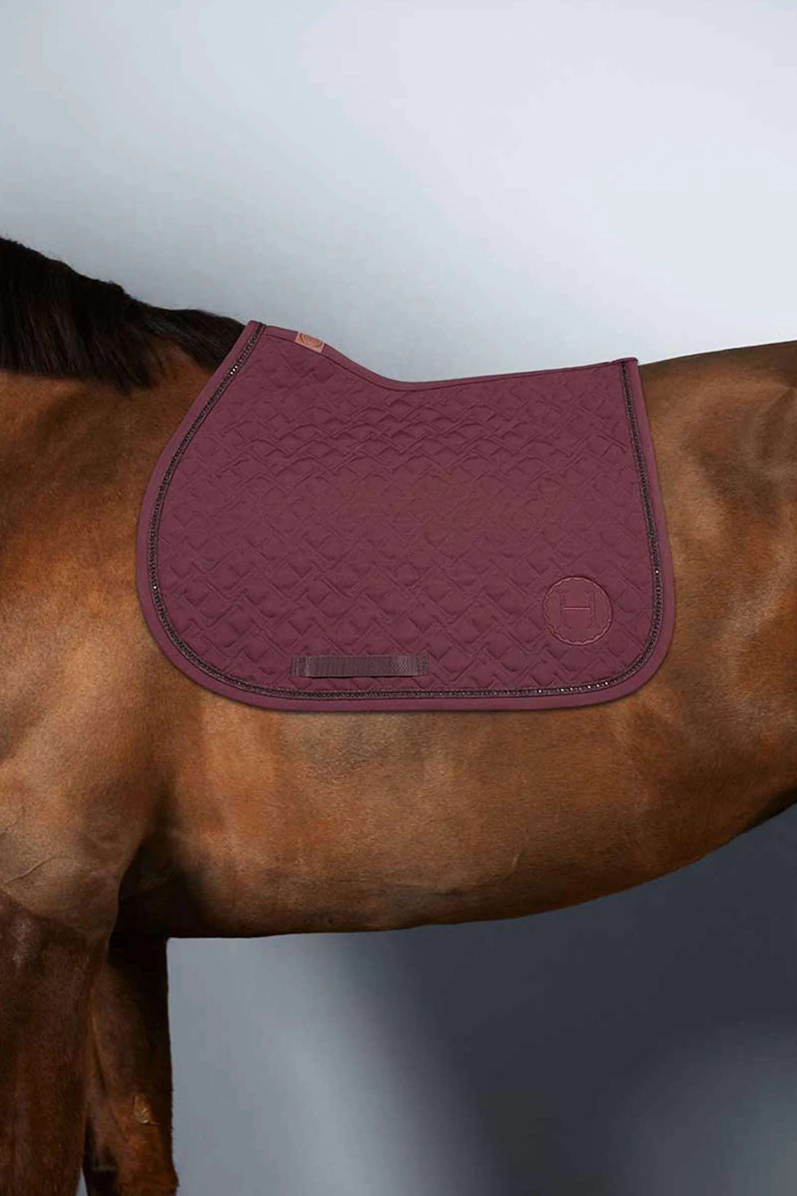 Saphir Saddle Pad Show Jumping Aubergine (Eggplant) F