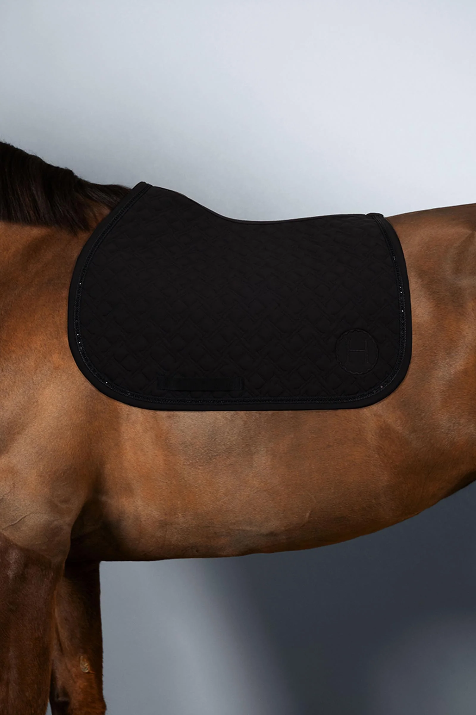 Saphir Saddle Pad Show Jumping Noir (Black) F