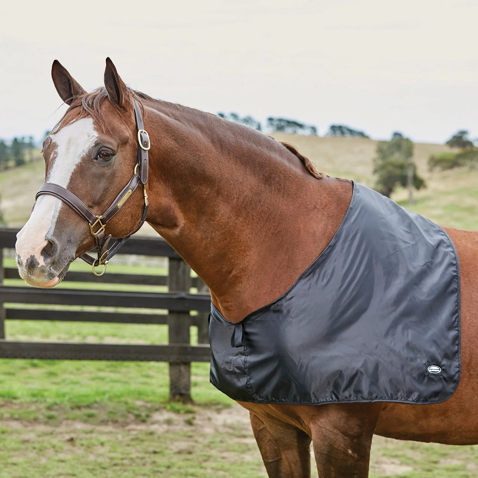Satin Shoulder Guard Black P