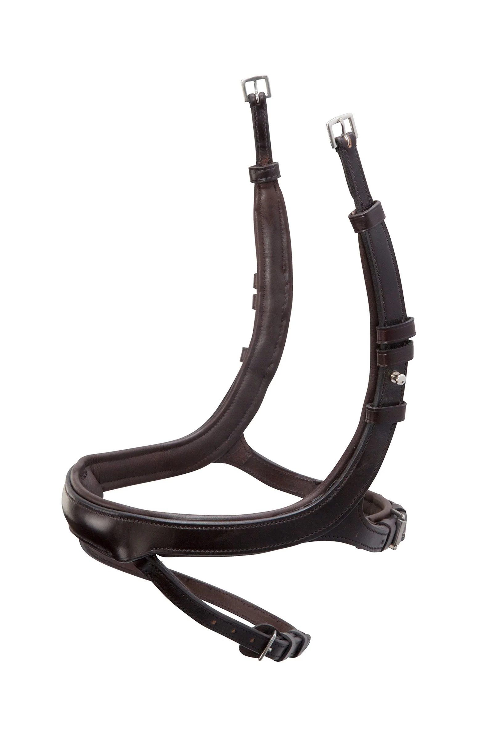 Schockemöhle Equitus Alpha Noseband DBR/SI C