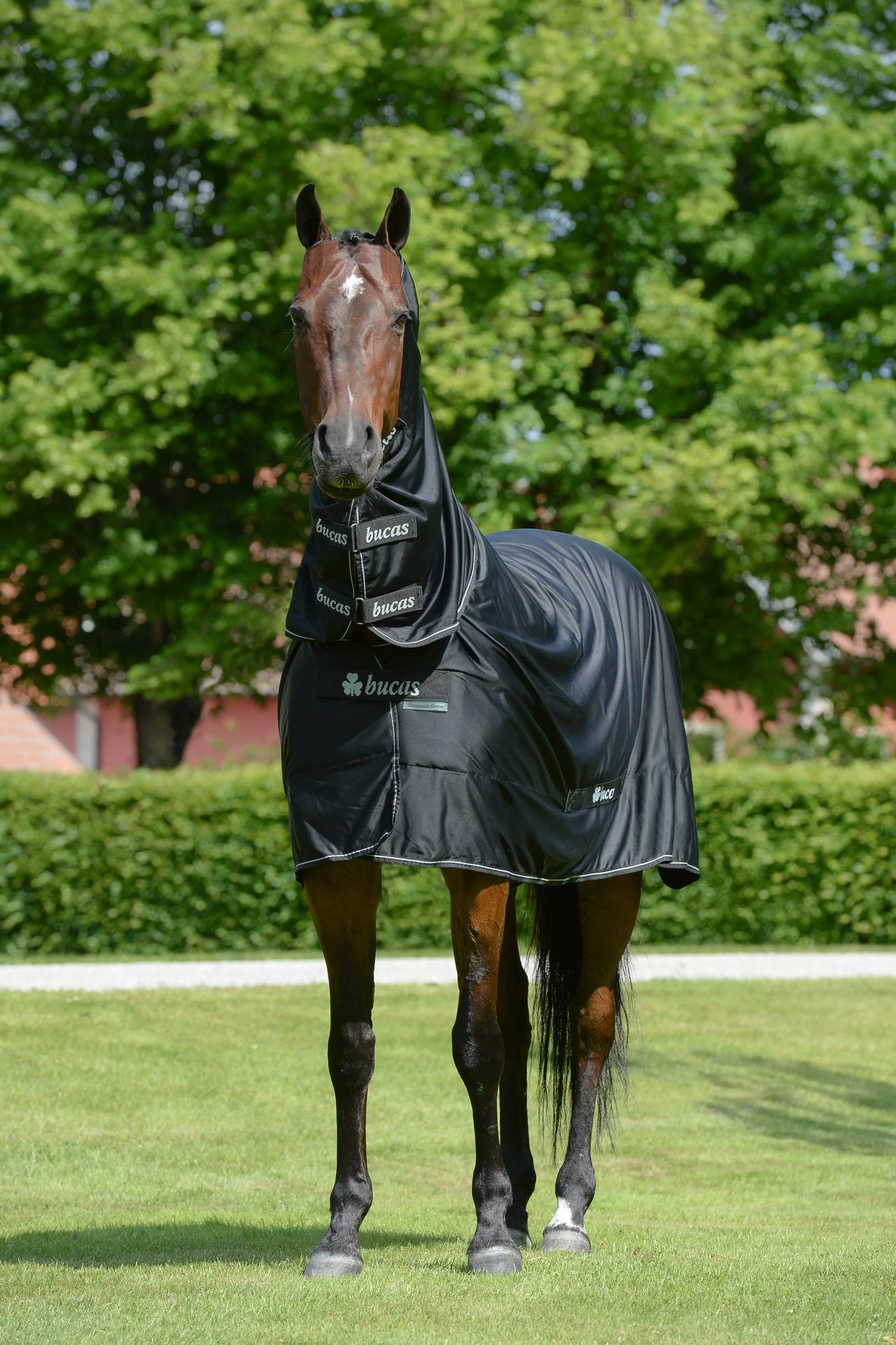 Shamrock Power Rug with Full Neck Black/Silver 120 - Image 2