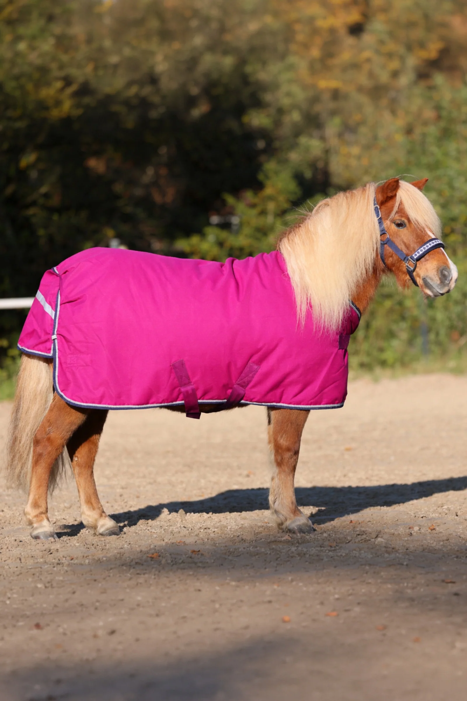 Shetty Turnout Rug, 100g Pink/Navy-Pink 100