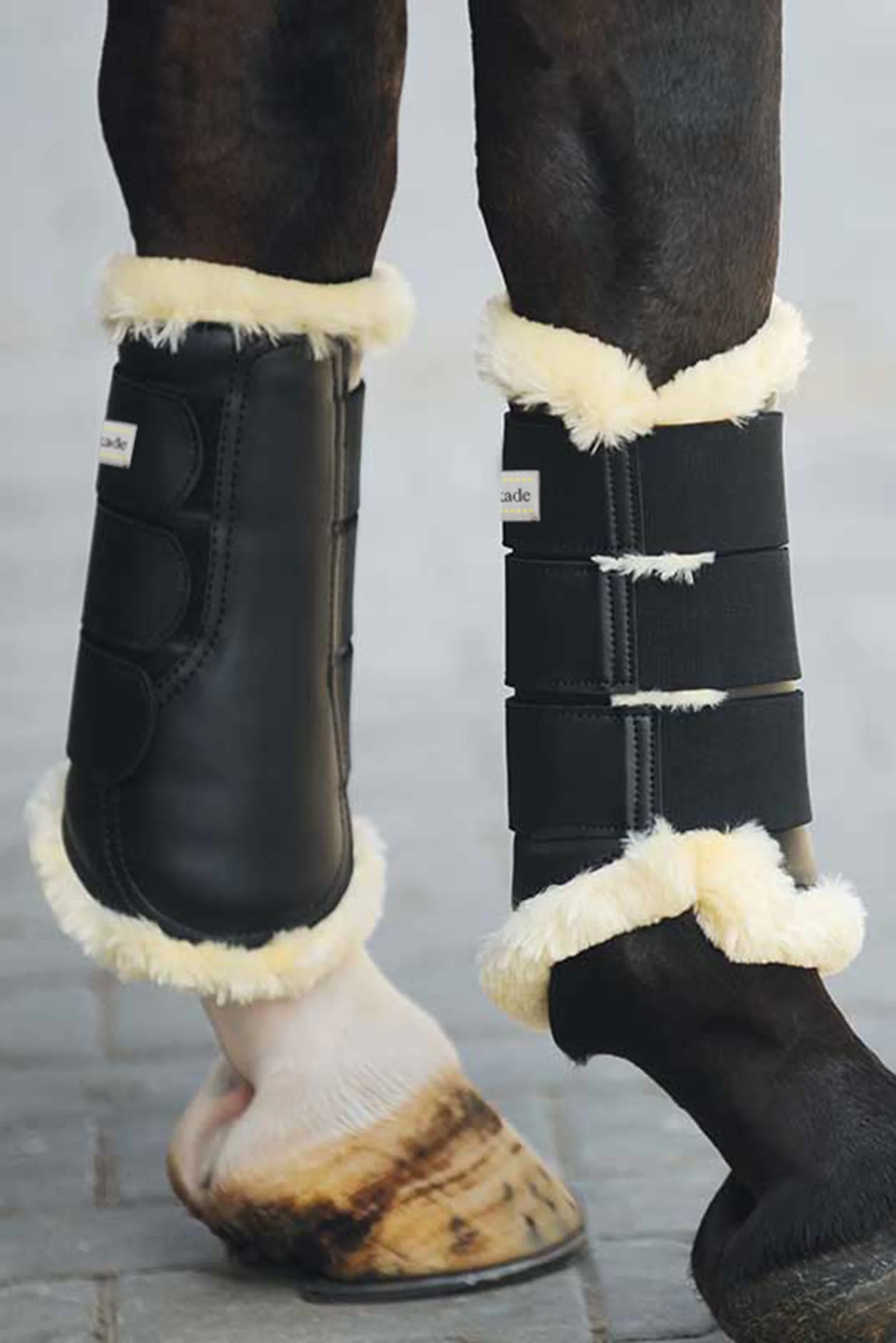 Show Brushing Boots Black S