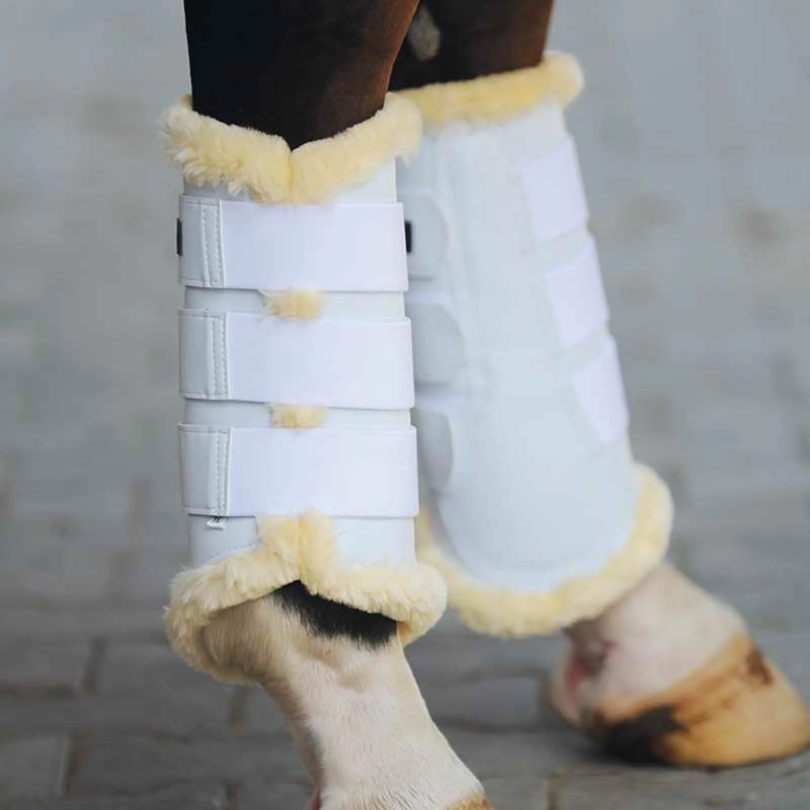 Show Brushing Boots White S - Image 2