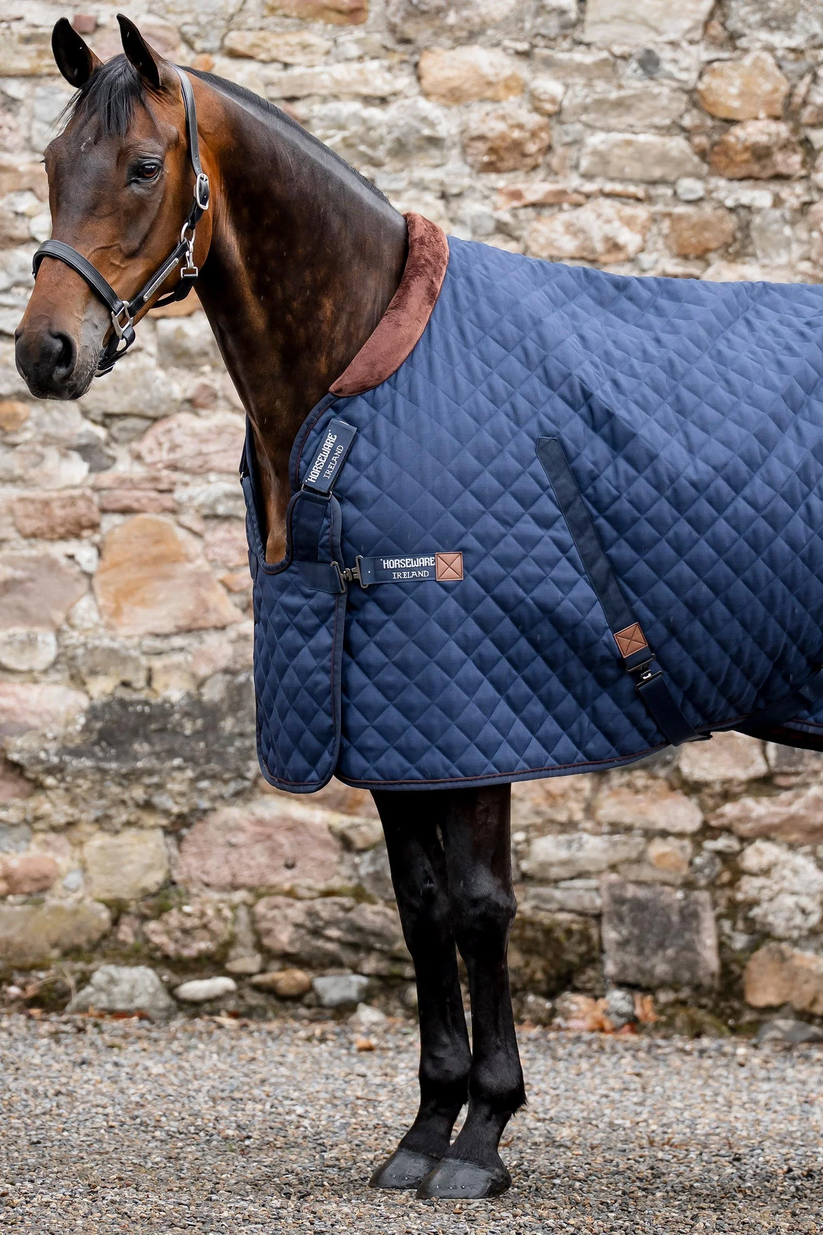 Signature Stable, 200g Navy/Brown & Silver 160