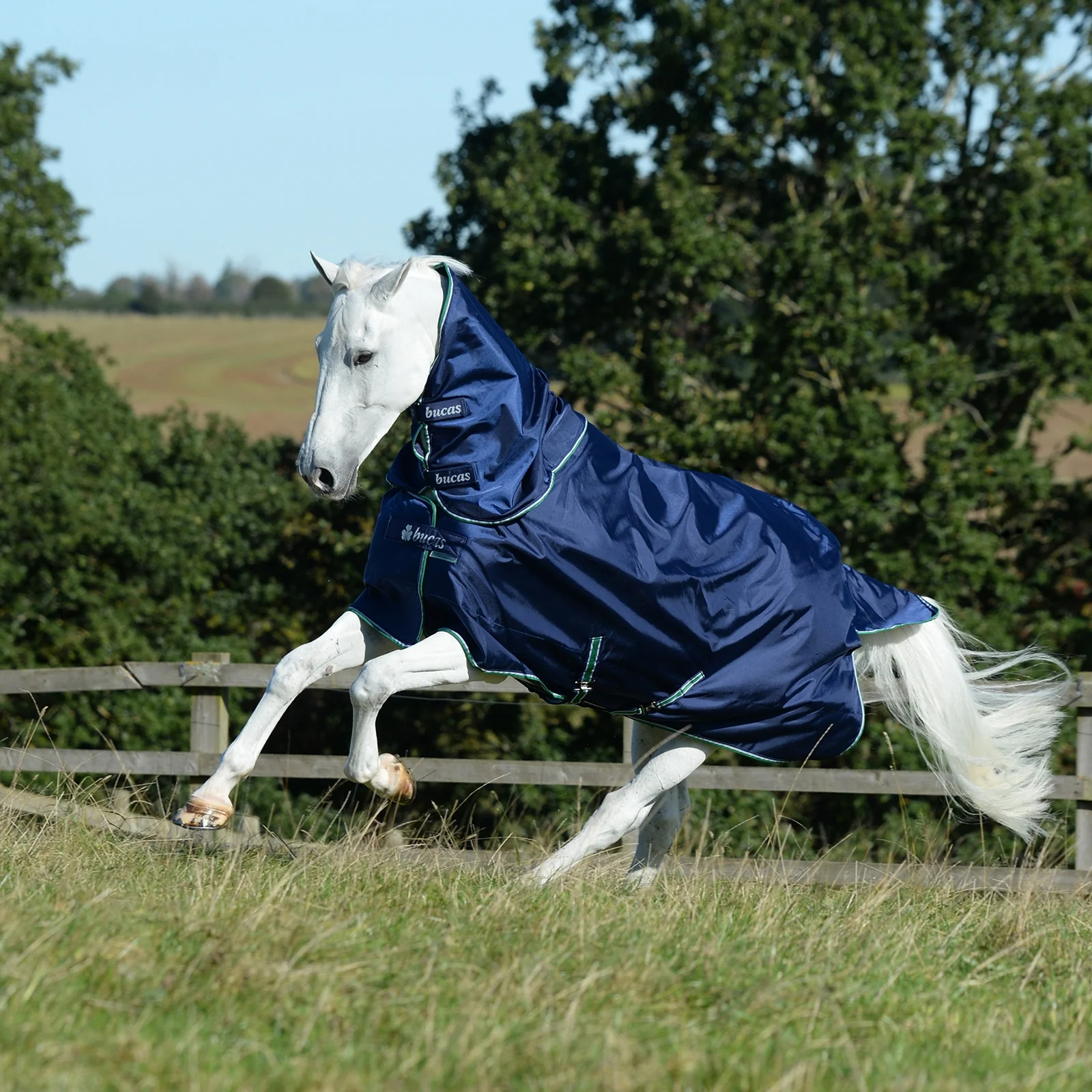Smartex Combi Neck 300 Blue XL