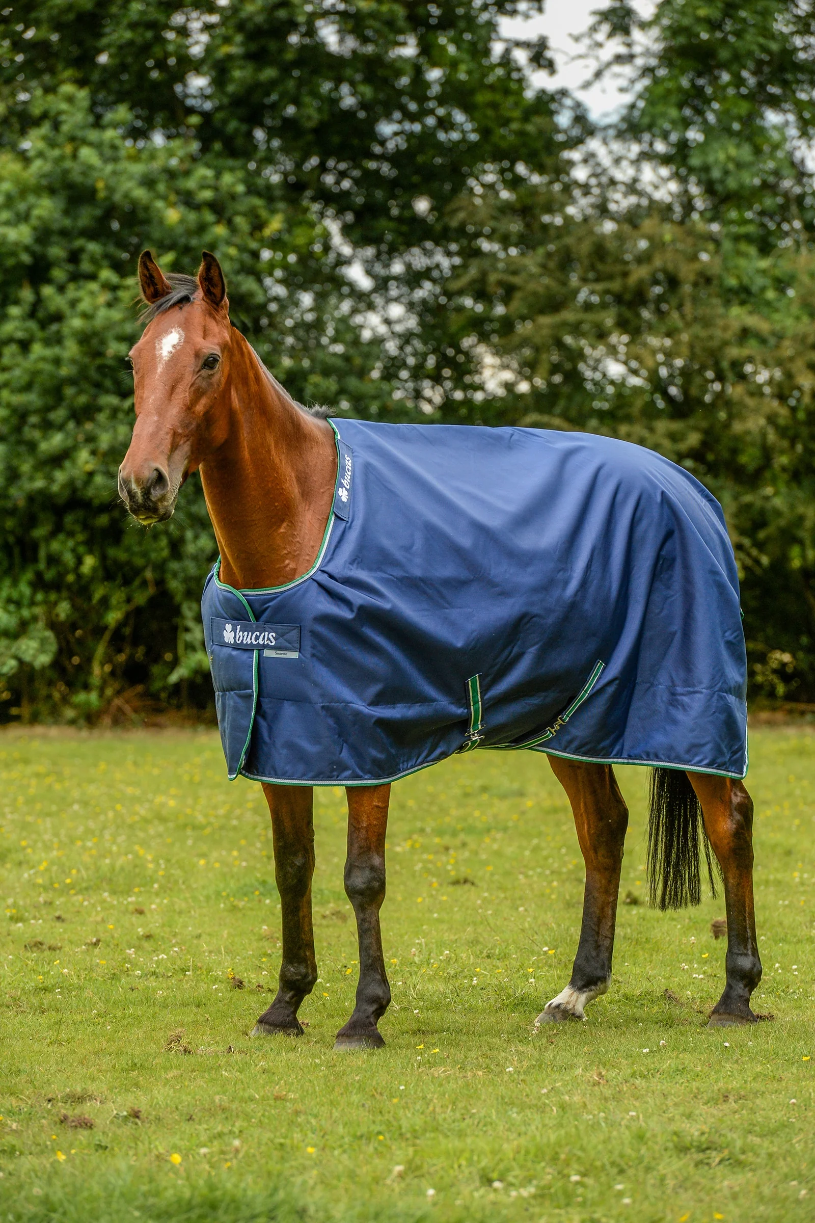 Smartex Extra Rug 300g Blue/White 115