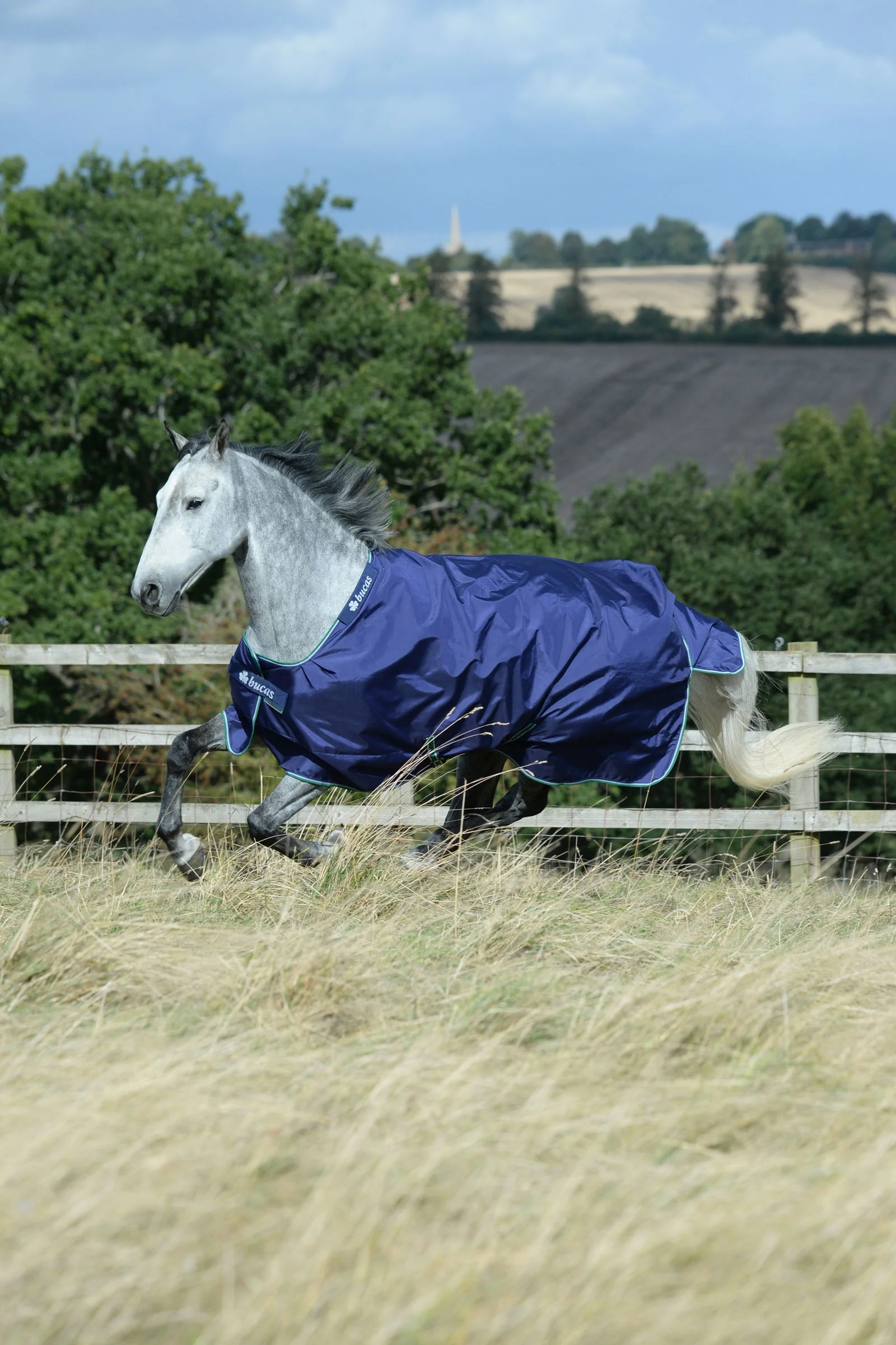 Smartex Medium Turnout Rug, 150g Blue/White 165 - Image 2