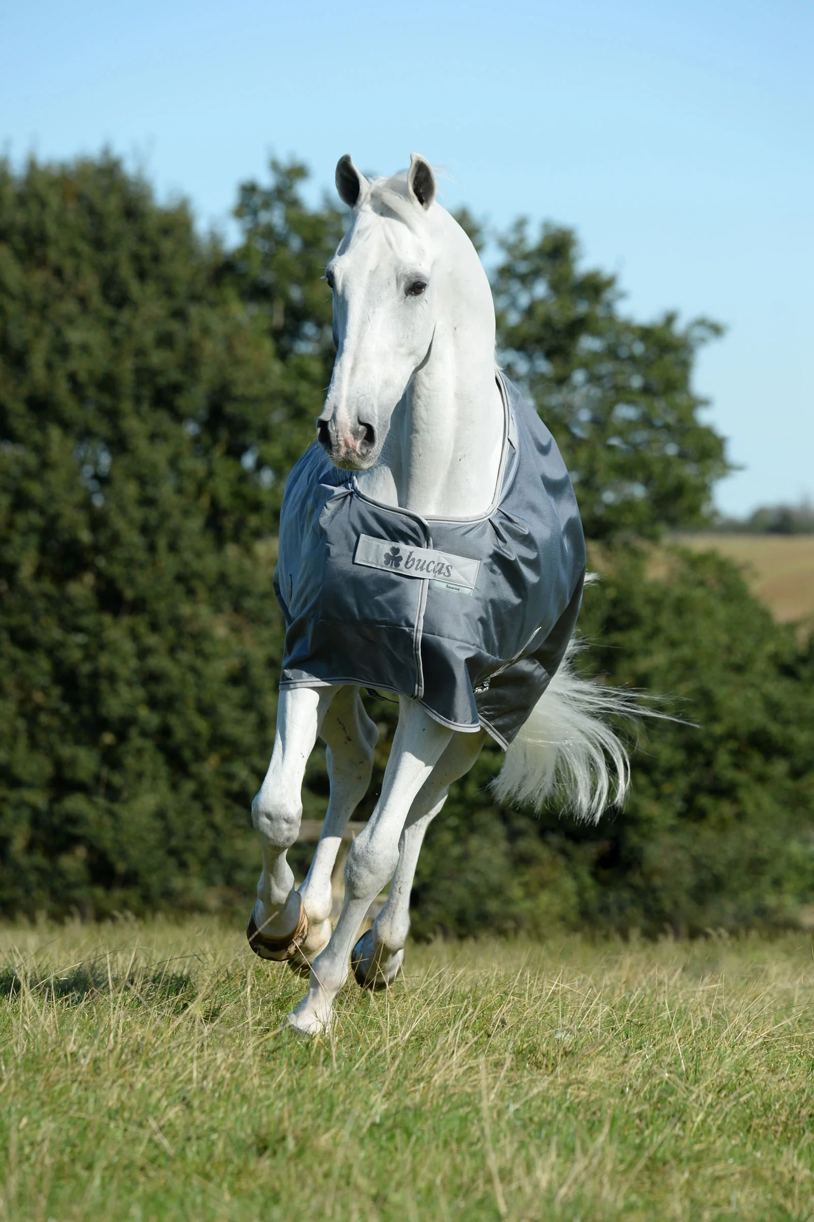 Smartex Medium Turnout Rug, 150g Iron Grey 130 - Image 2