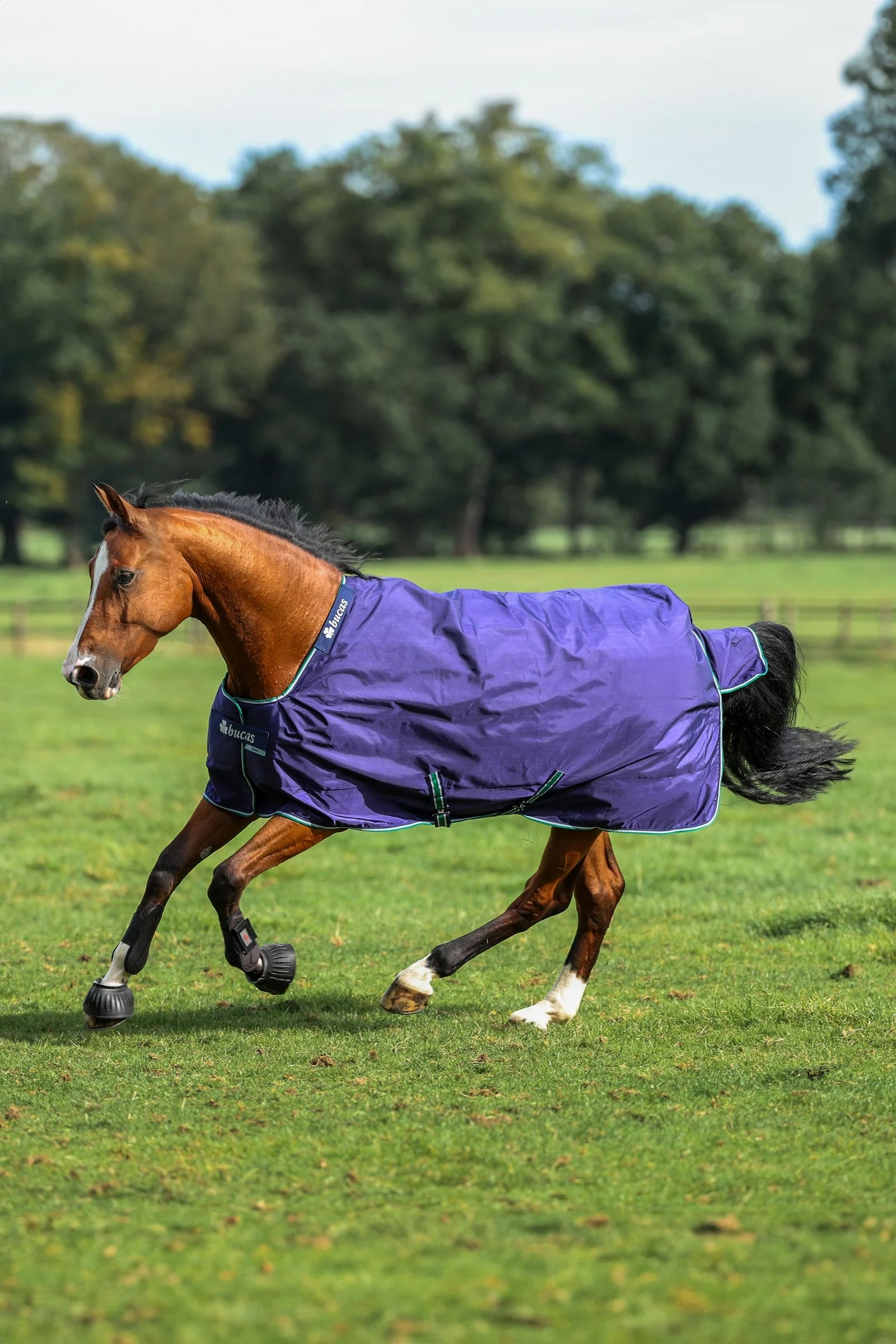 Smartex Rain Turnout Rug, 0g Blue/White 170 - Image 2