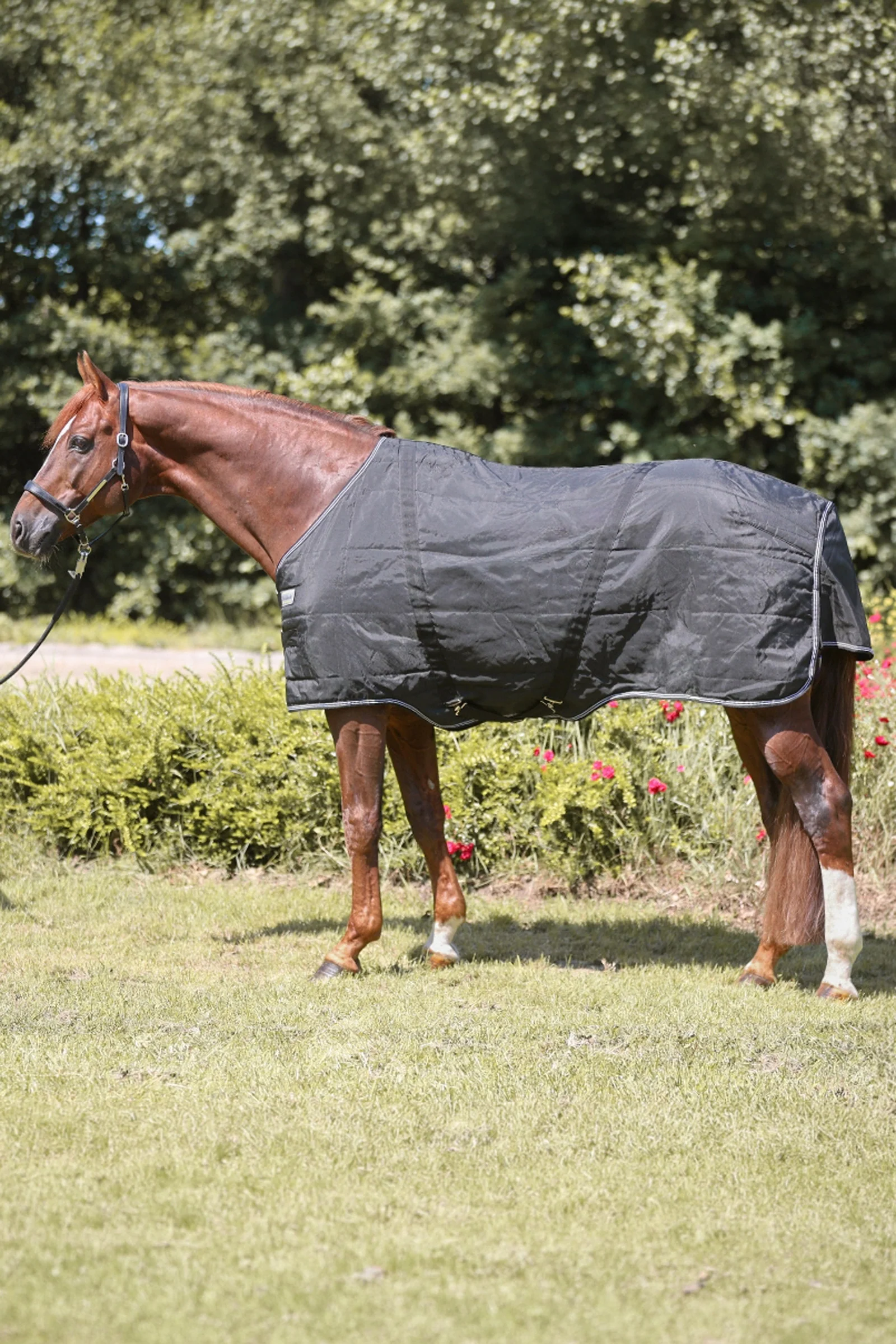 Stallion Rug, 200 g Black 135