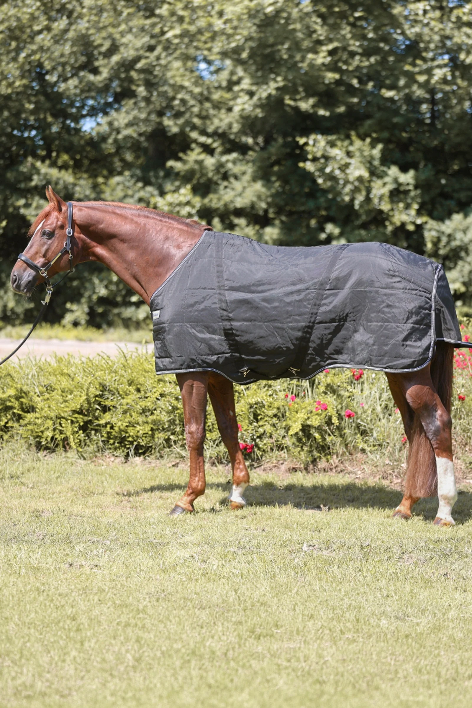 Stallion Rug, 400 g Black 135