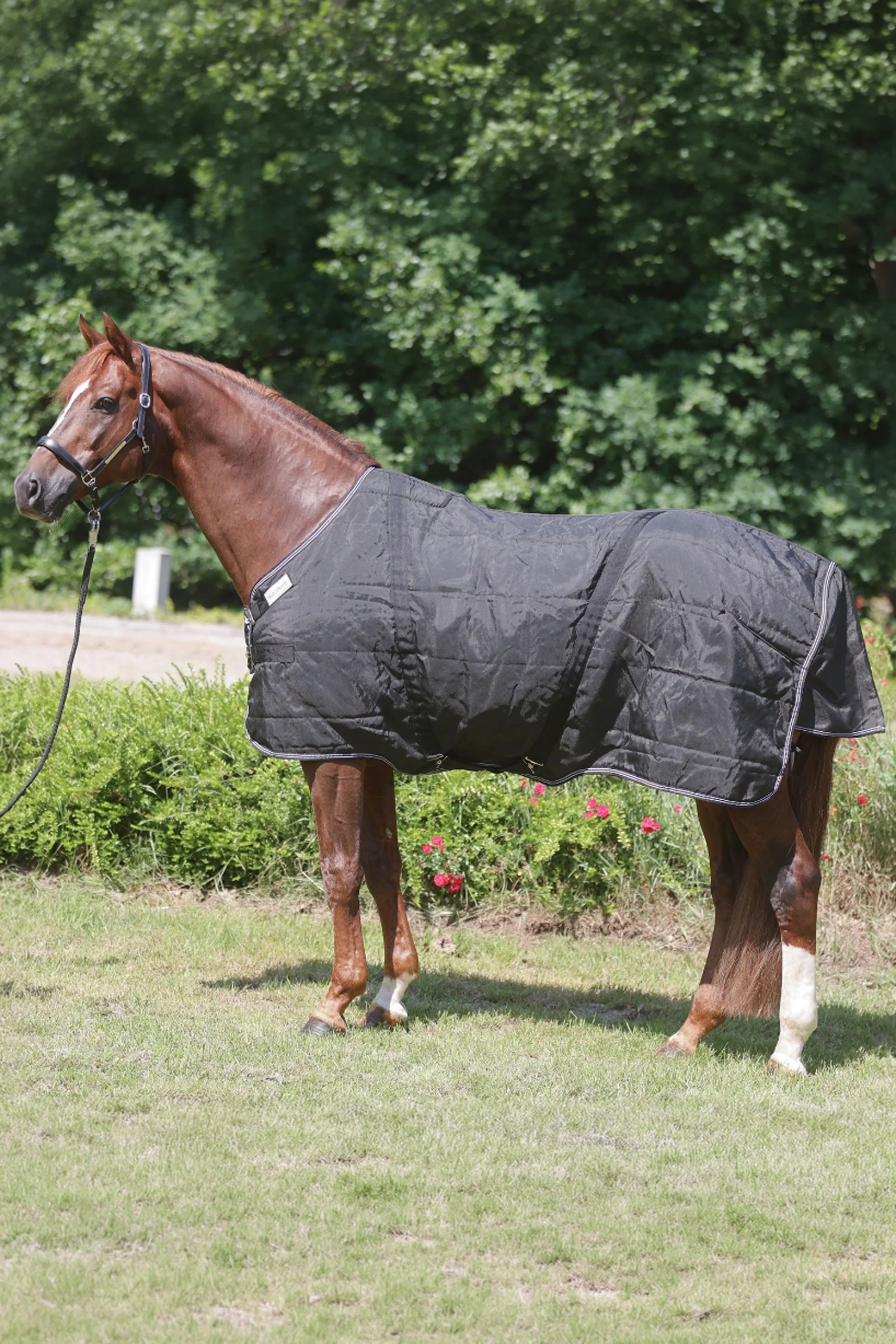 Stallion Rug With Chest Bib, 200 g Black 135