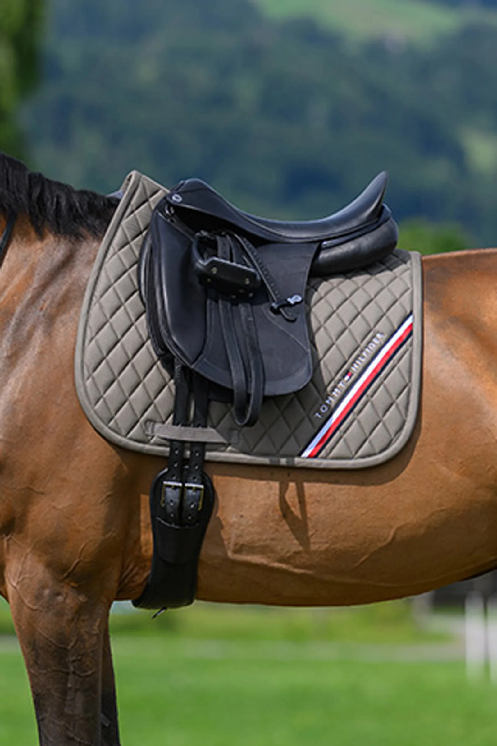 Stanford Dressage Saddlepad Ash F