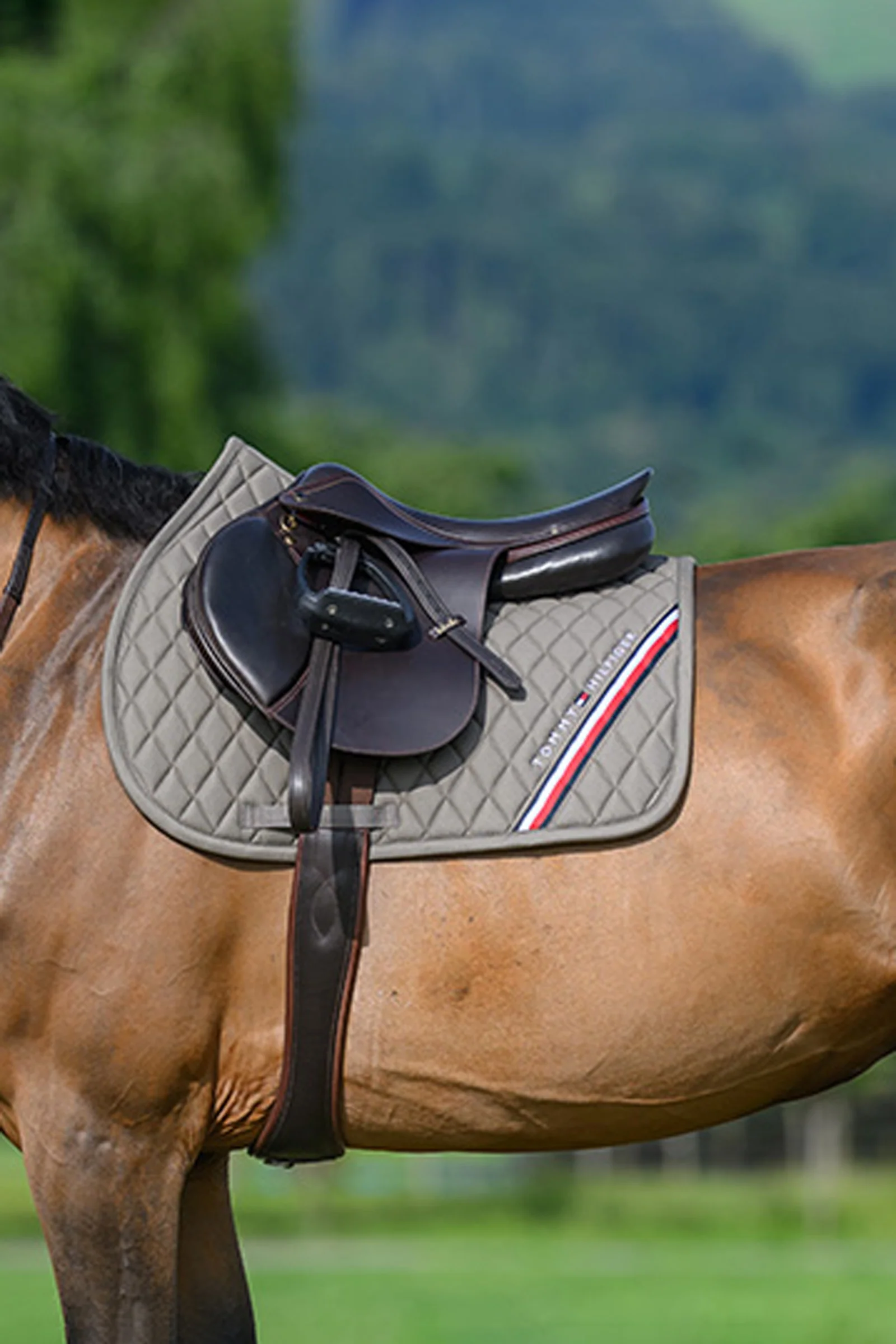 Stanford Jumping Saddlepad Ash F